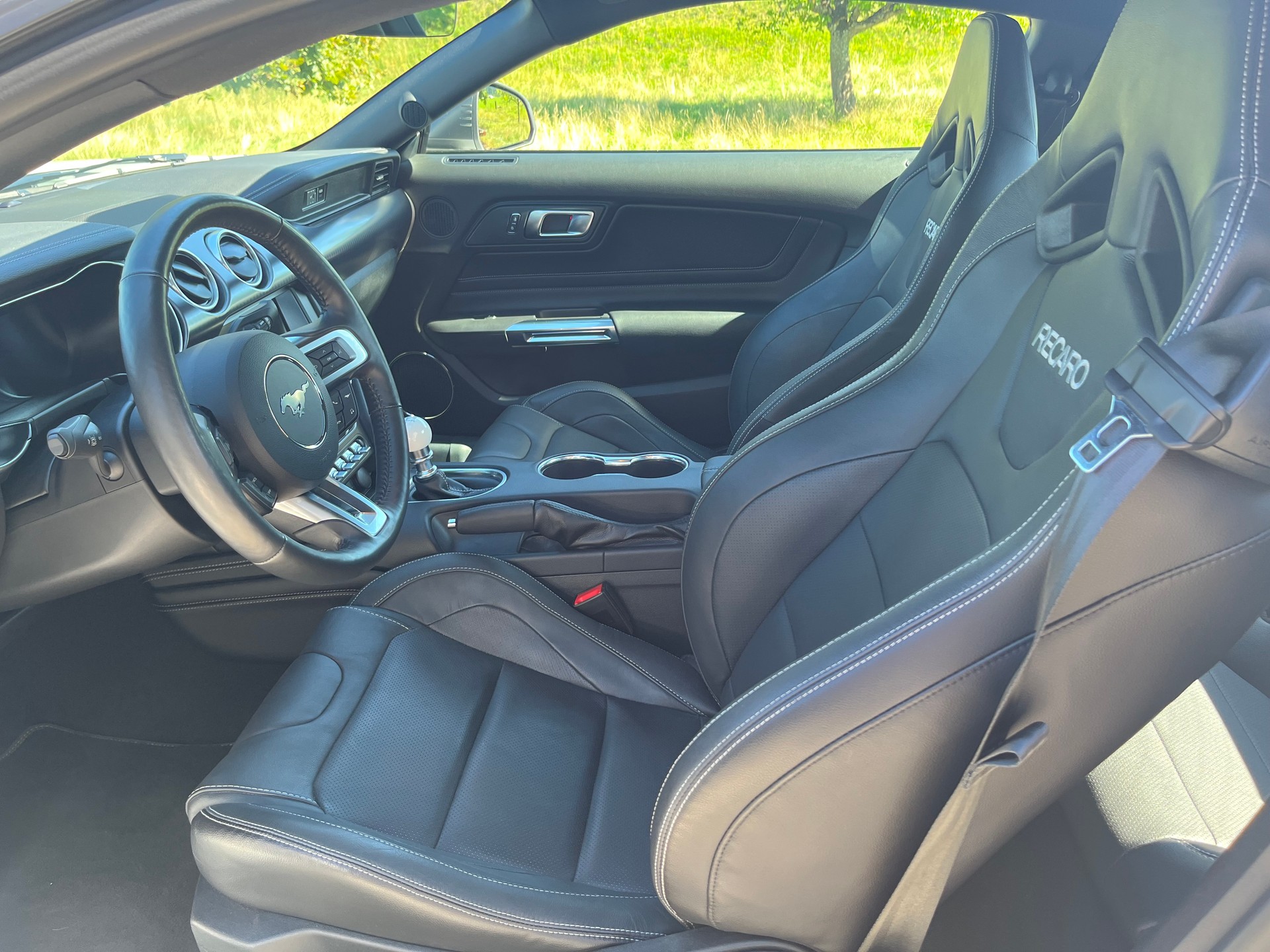 FORD Mustang 5.0 V8 Mach 1, Handschalter, Recaro Sportsitze, GT500 style Heckspoiler, Heckscheibenlamellen, Carcover...-image-10