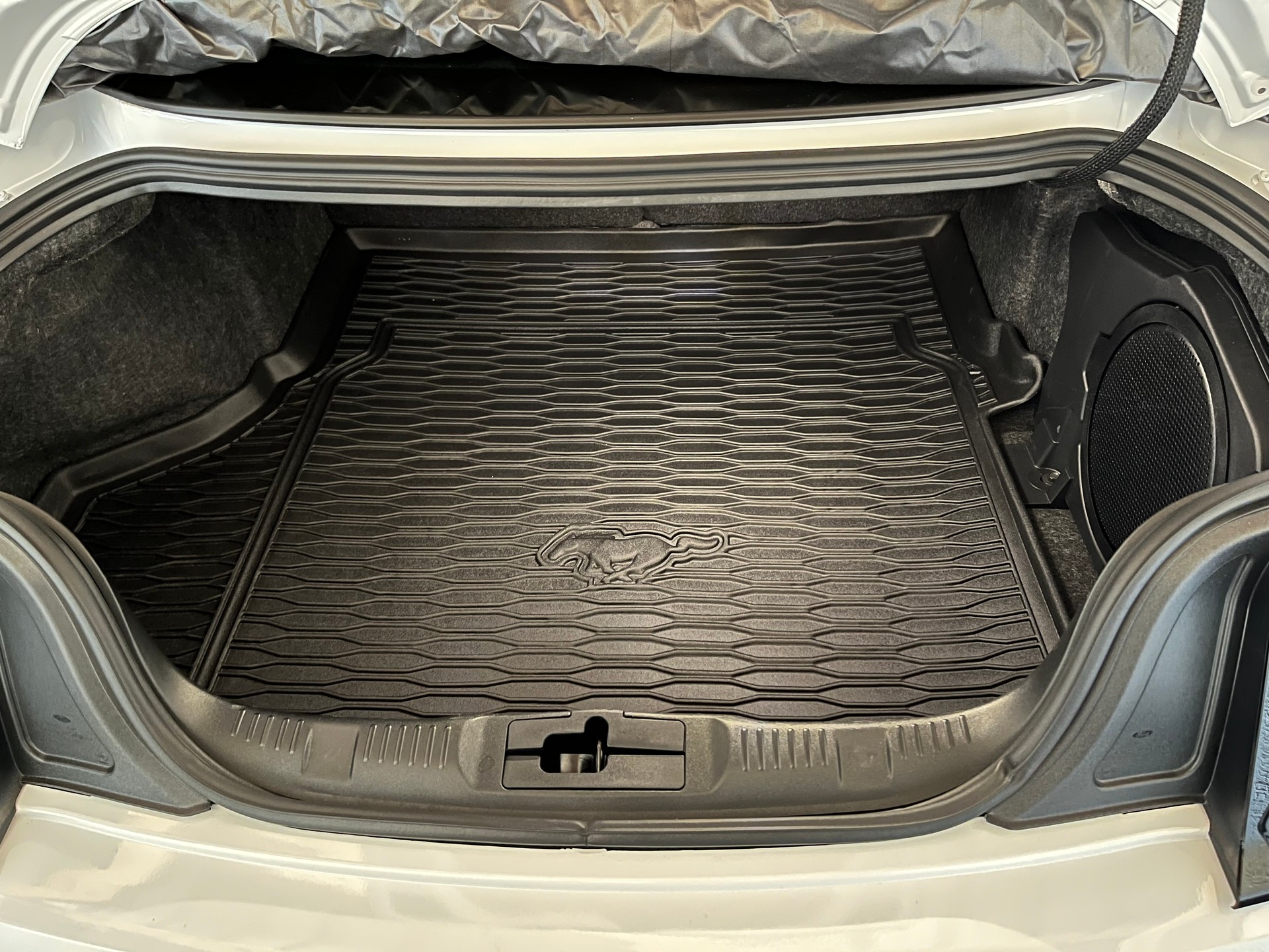 FORD Ford Mustang Mach 1, Handschalter, Recaro Sportsitze, GT500 style Heckspoiler, Carcover und mehr...-image-14