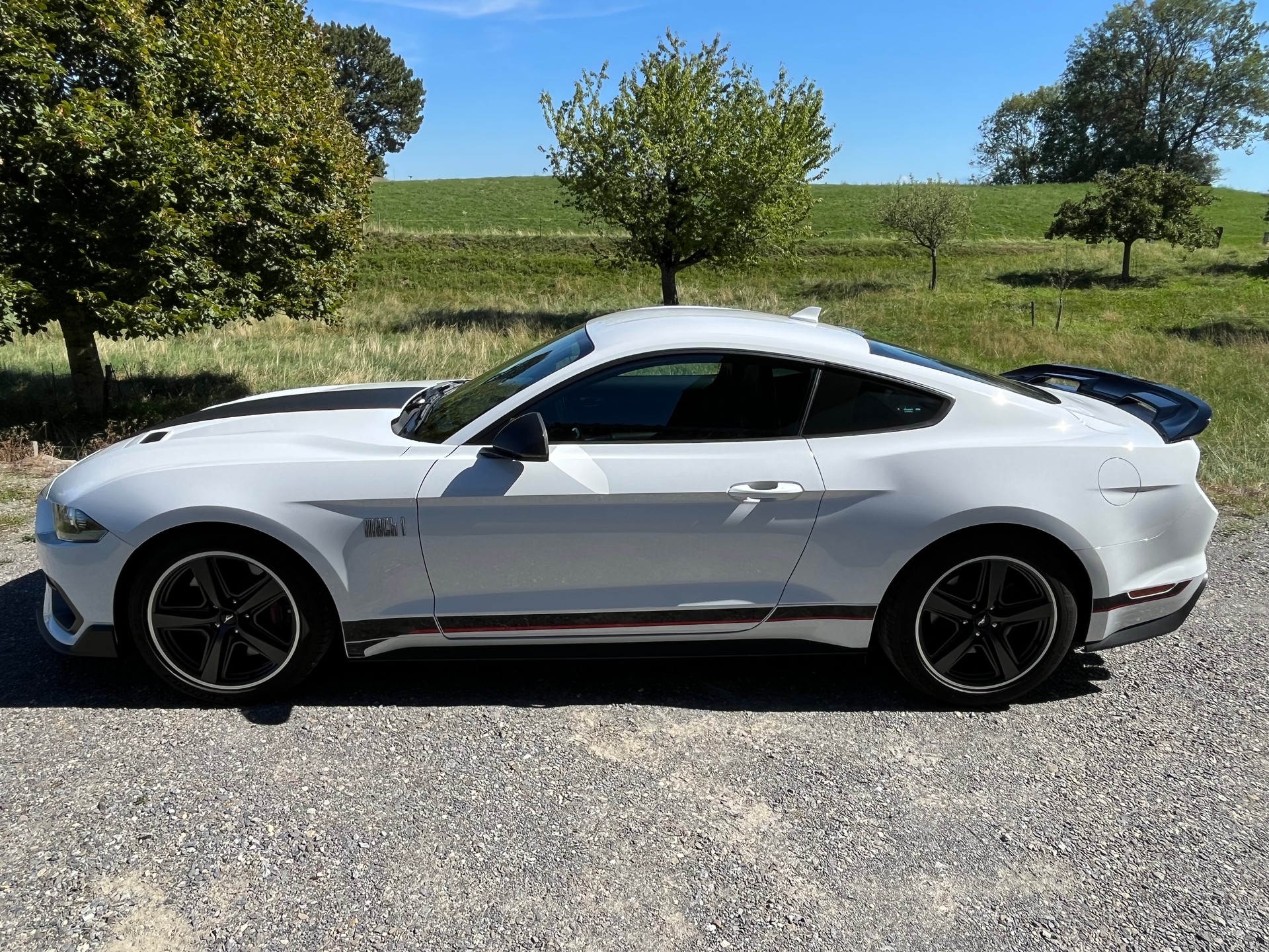 FORD Mustang 5.0 V8 Mach 1, Handschalter, Recaro Sportsitze, GT500 style Heckspoiler, Carcover...