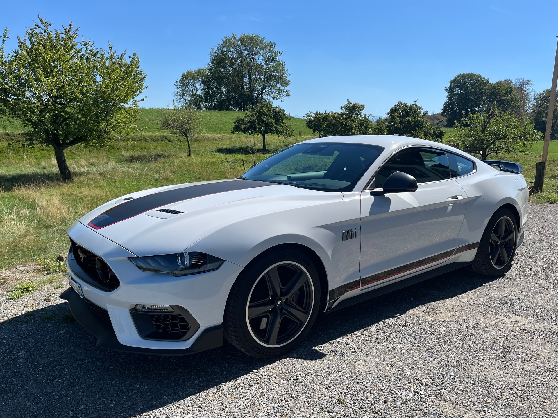 FORD Mustang 5.0 V8 Mach 1, Handschalter, Recaro Sportsitze, GT500 style Heckspoiler, Heckscheibenlamellen, Carcover...-image-1