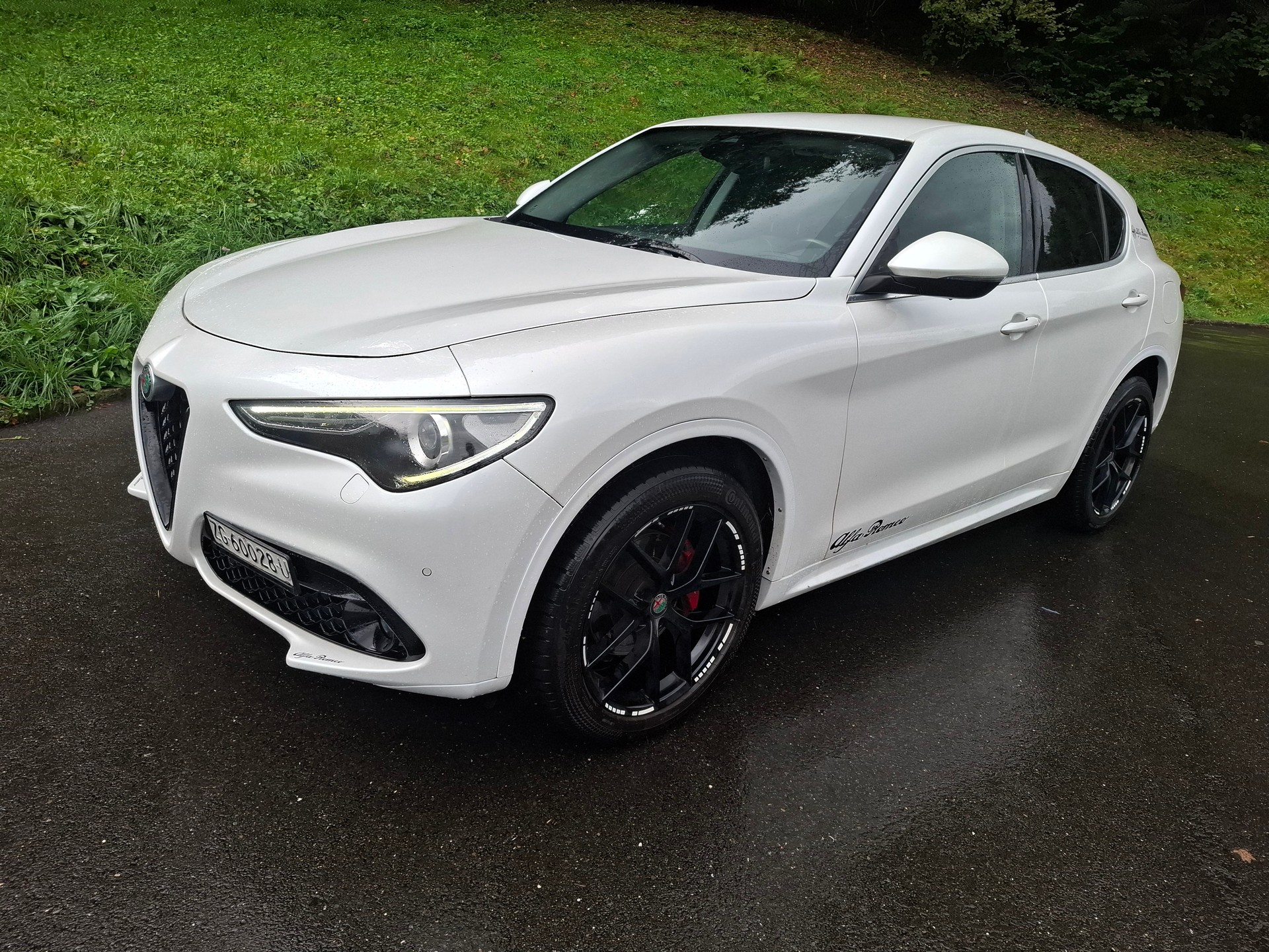 ALFA ROMEO Stelvio 2.2 JTDM Executive Q4 Automatic-image-2