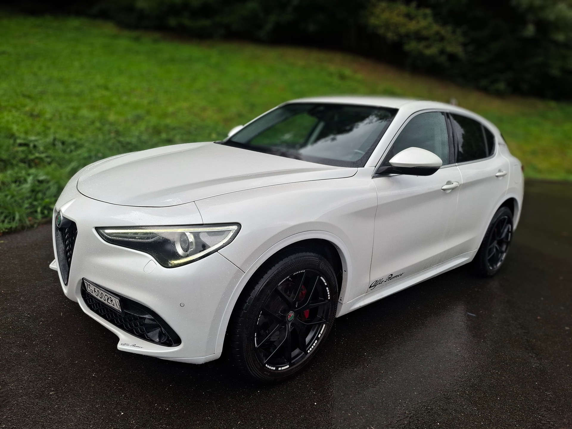 ALFA ROMEO Stelvio 2.2 JTDM Executive Q4 Automatic-image-0