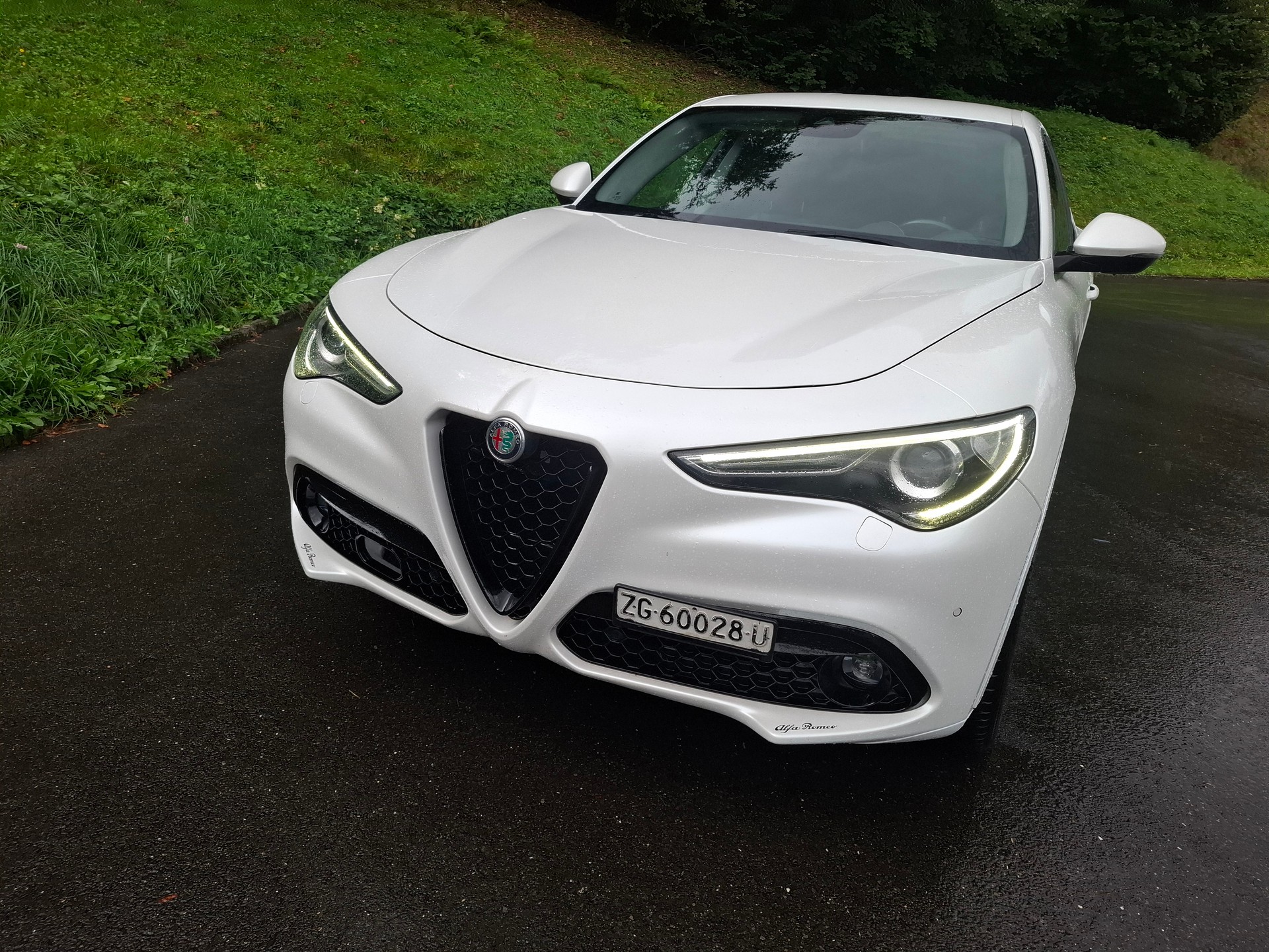 ALFA ROMEO Stelvio 2.2 JTDM Executive Q4 Automatic-image-1