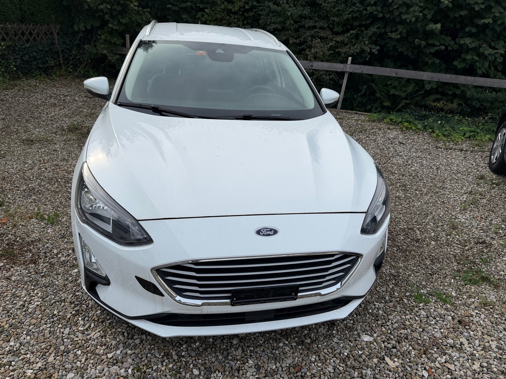 FORD Focus 1.5 TDCi Cool Connect Automatic-image-1