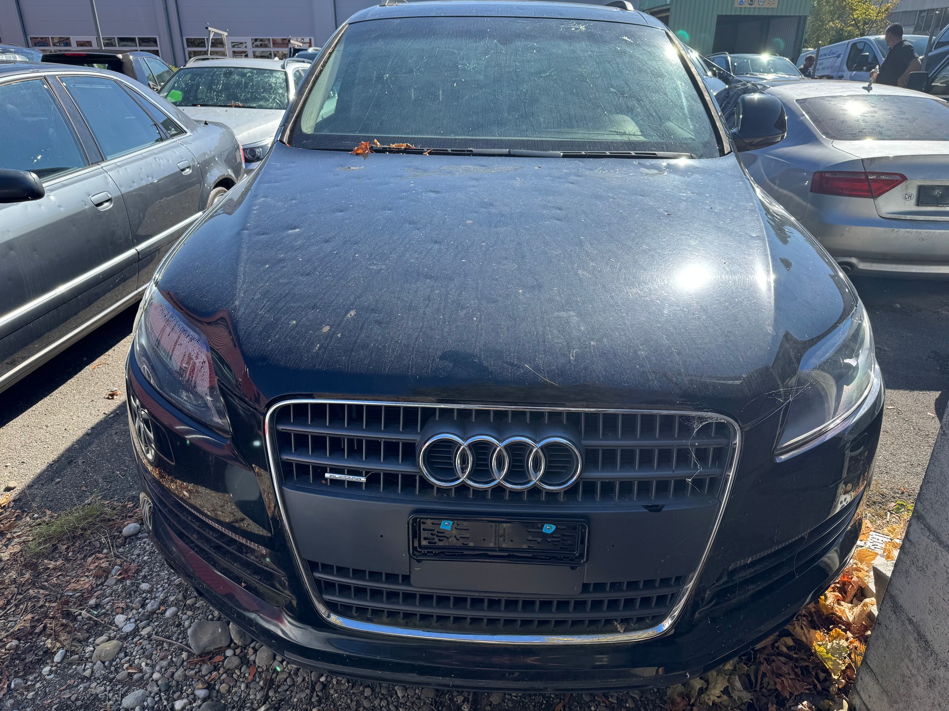 AUDI 3.6 Quattro-image-0
