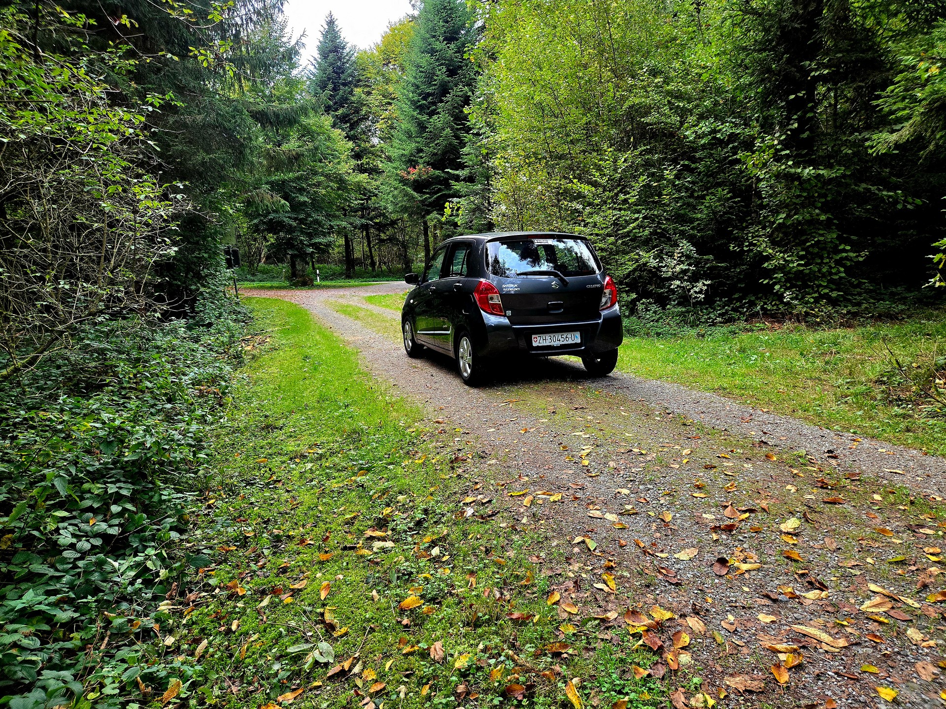 SUZUKI Celerio 1.0 Sergio Cellano Top-image-10