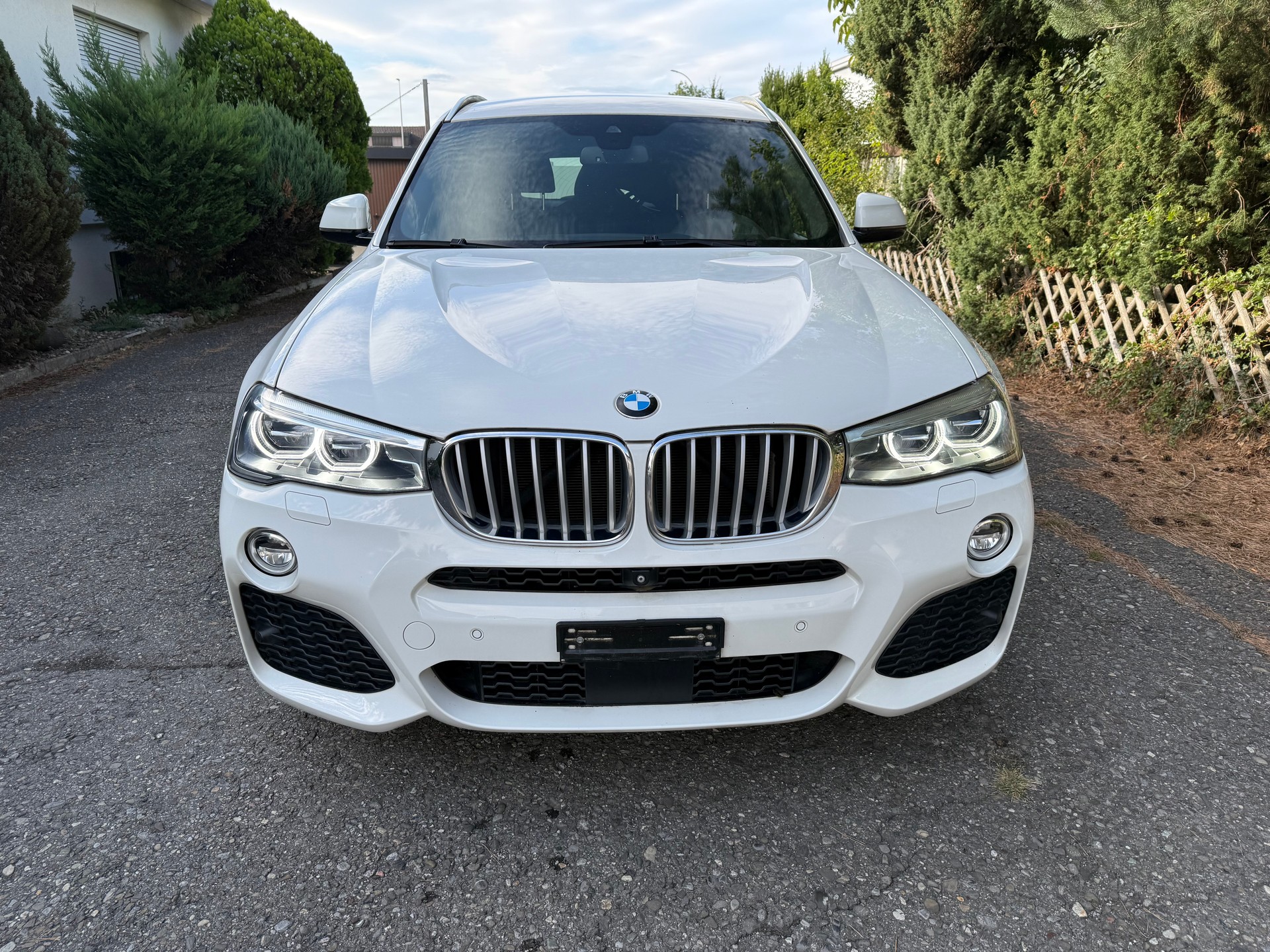 BMW X3 xDrive 30d Steptronic-image-1