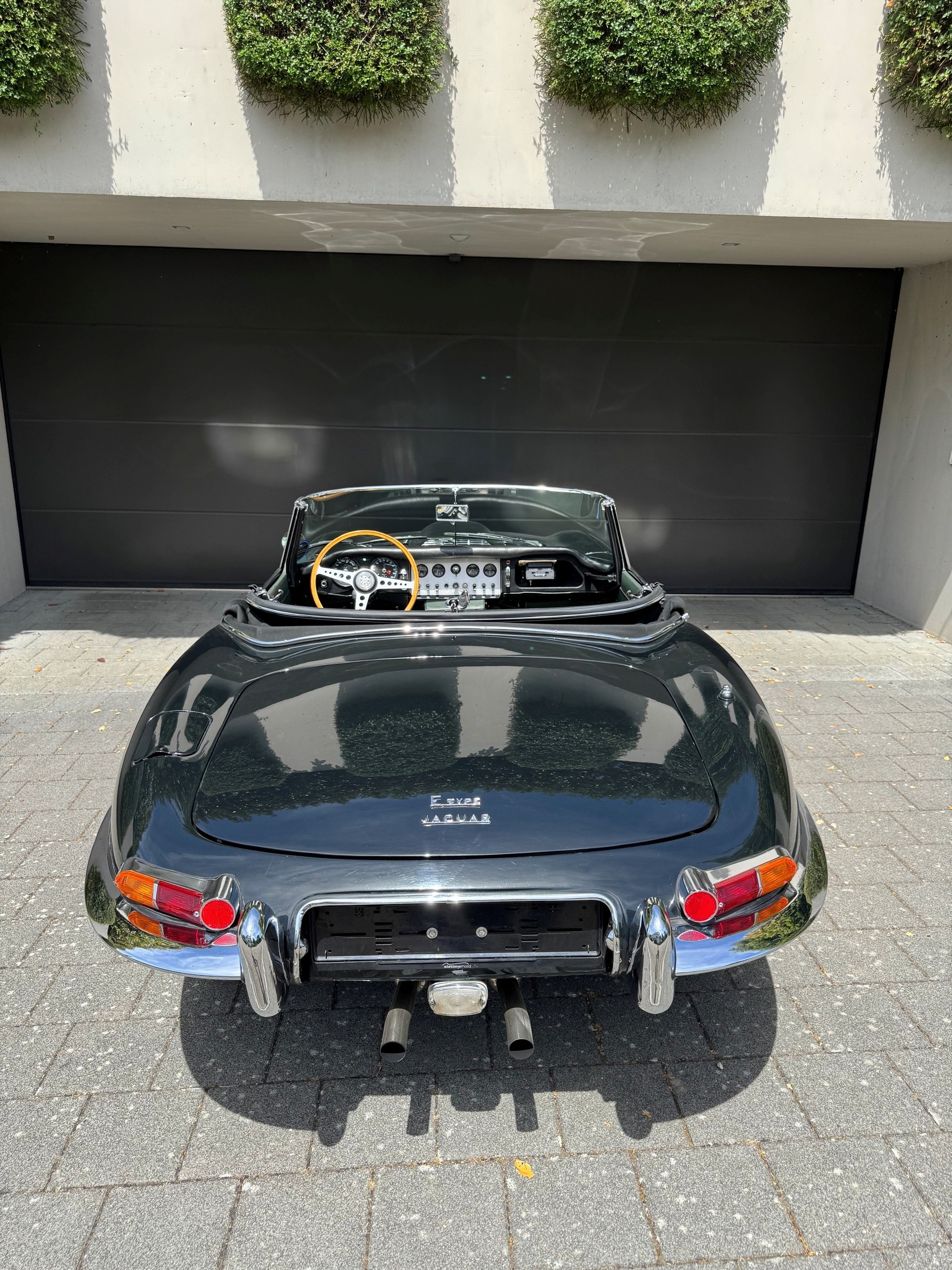 JAGUAR Serie 1-image-3