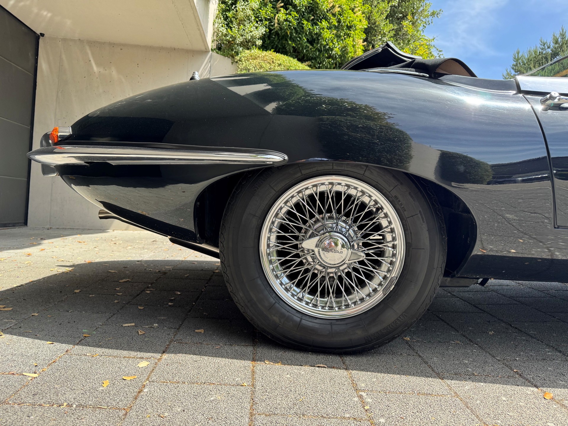 JAGUAR Serie 1-image-8