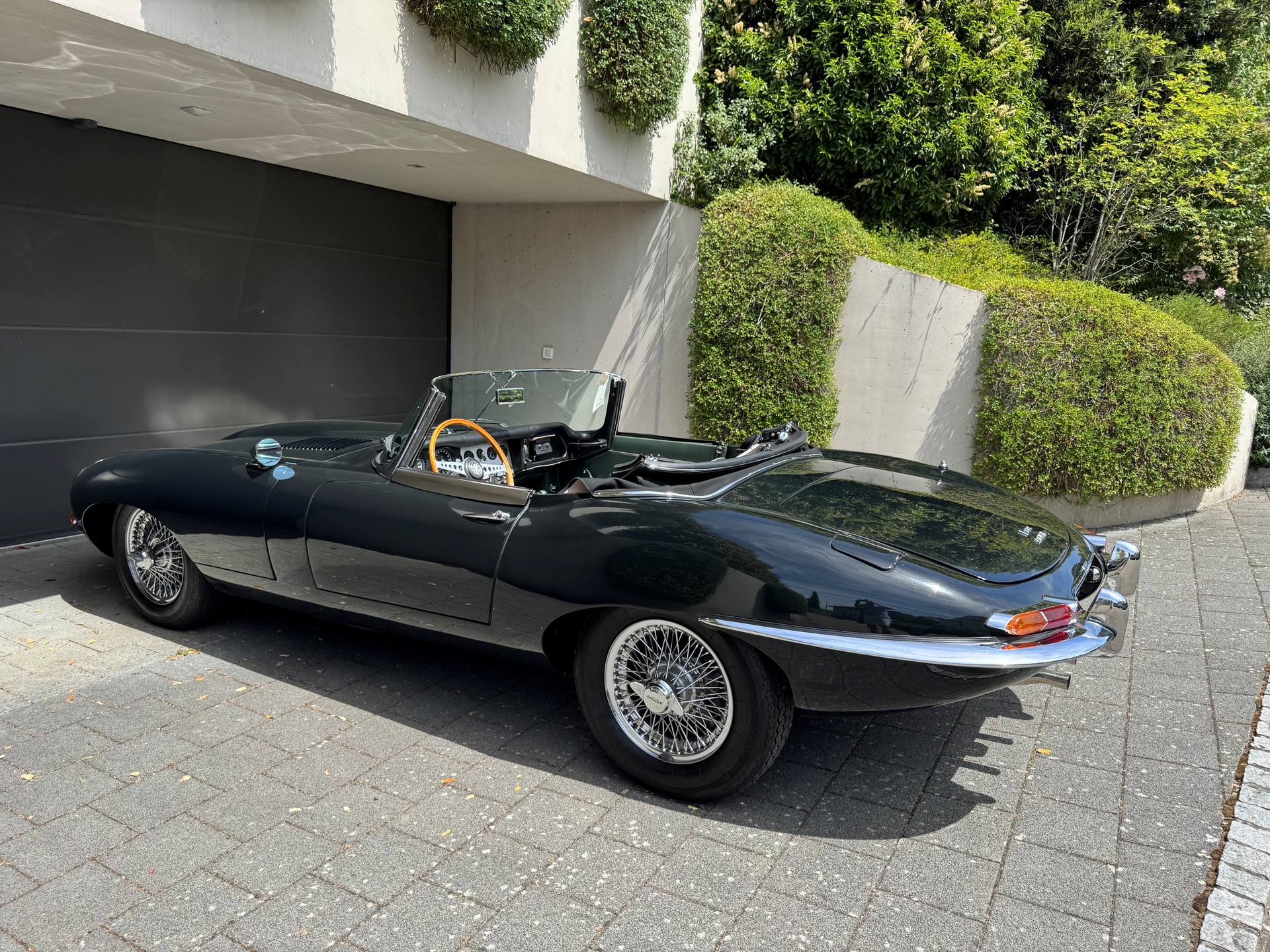 JAGUAR Serie 1-image-11