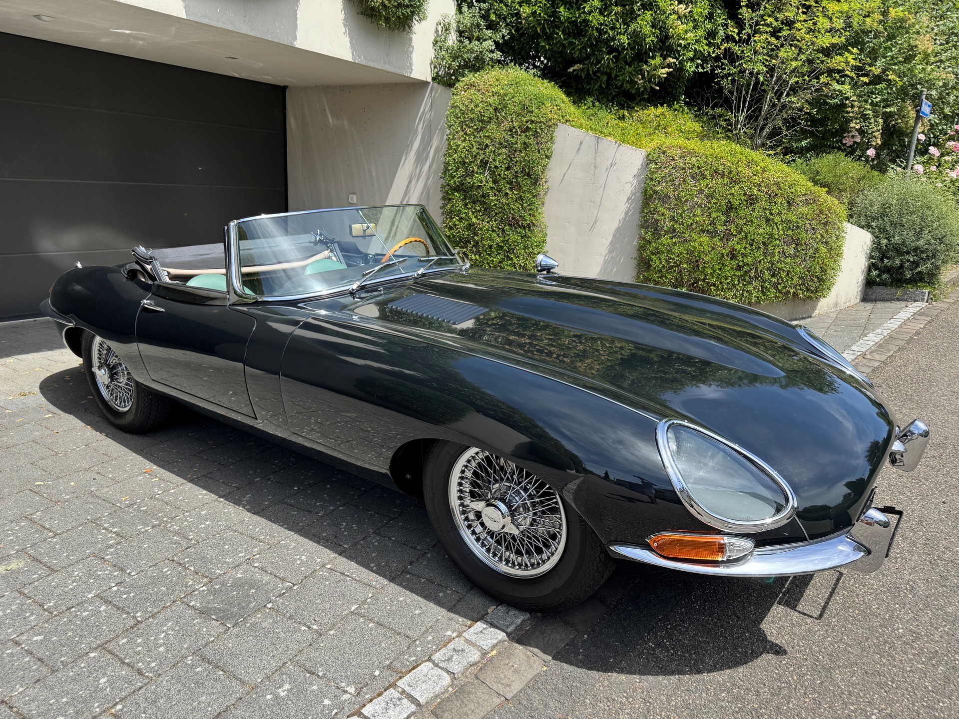 JAGUAR Serie 1-image-2