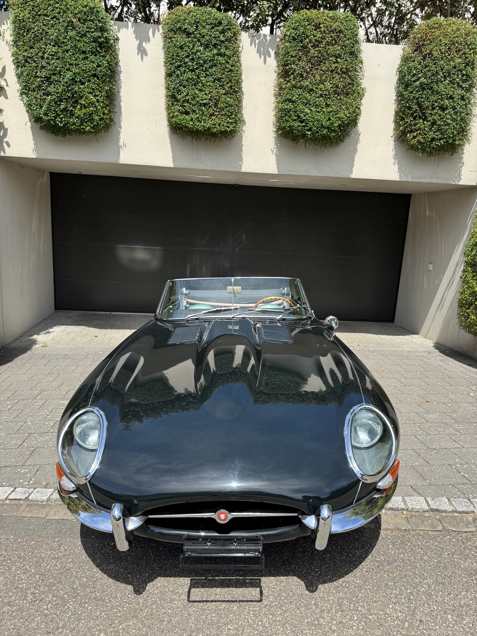 JAGUAR Serie 1-image-0