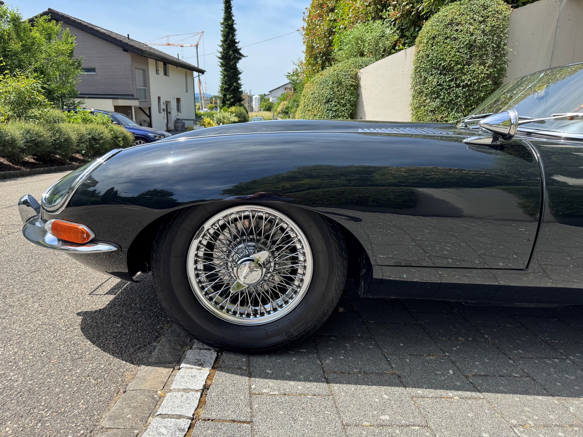 JAGUAR Serie 1-image-9