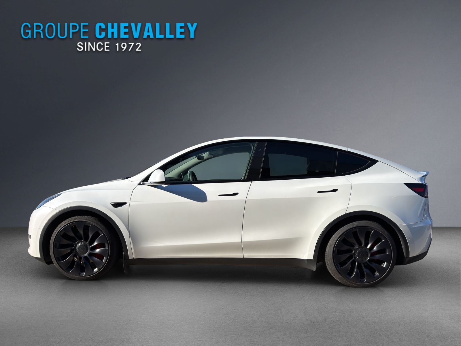 TESLA Model Y Performance-image-2