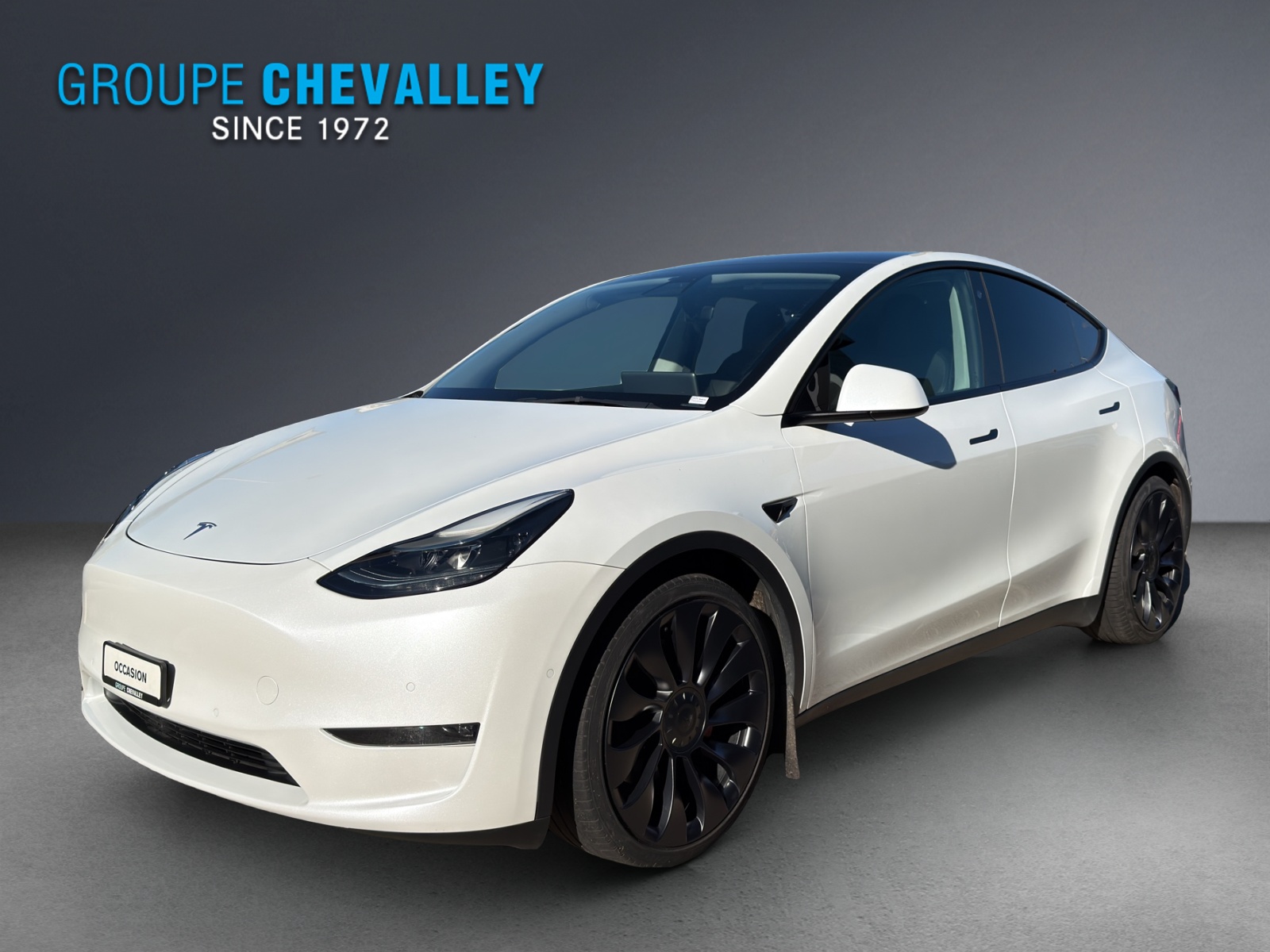 Photo TESLA MODEL-Y Model Y Performance