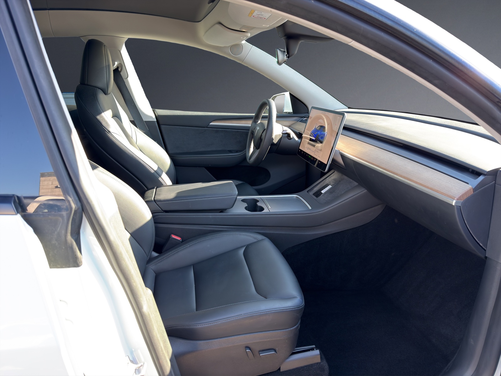 TESLA Model Y Performance-image-6