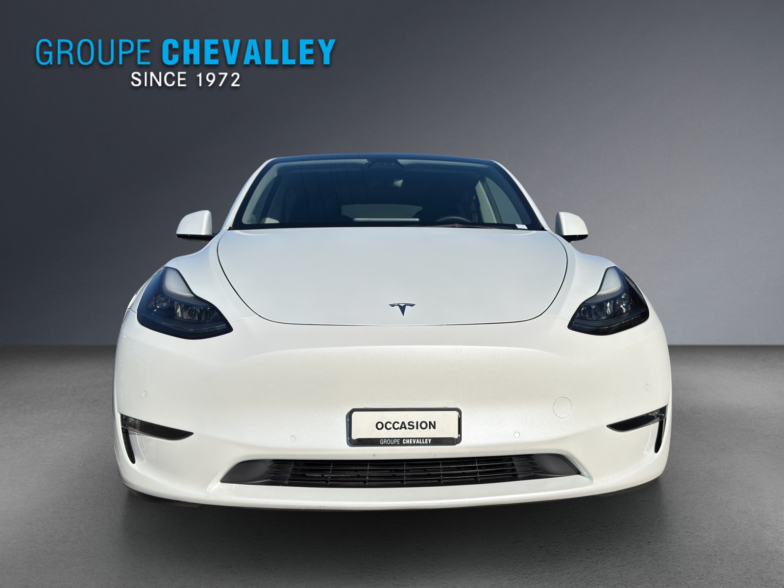 TESLA Model Y Performance-image-1
