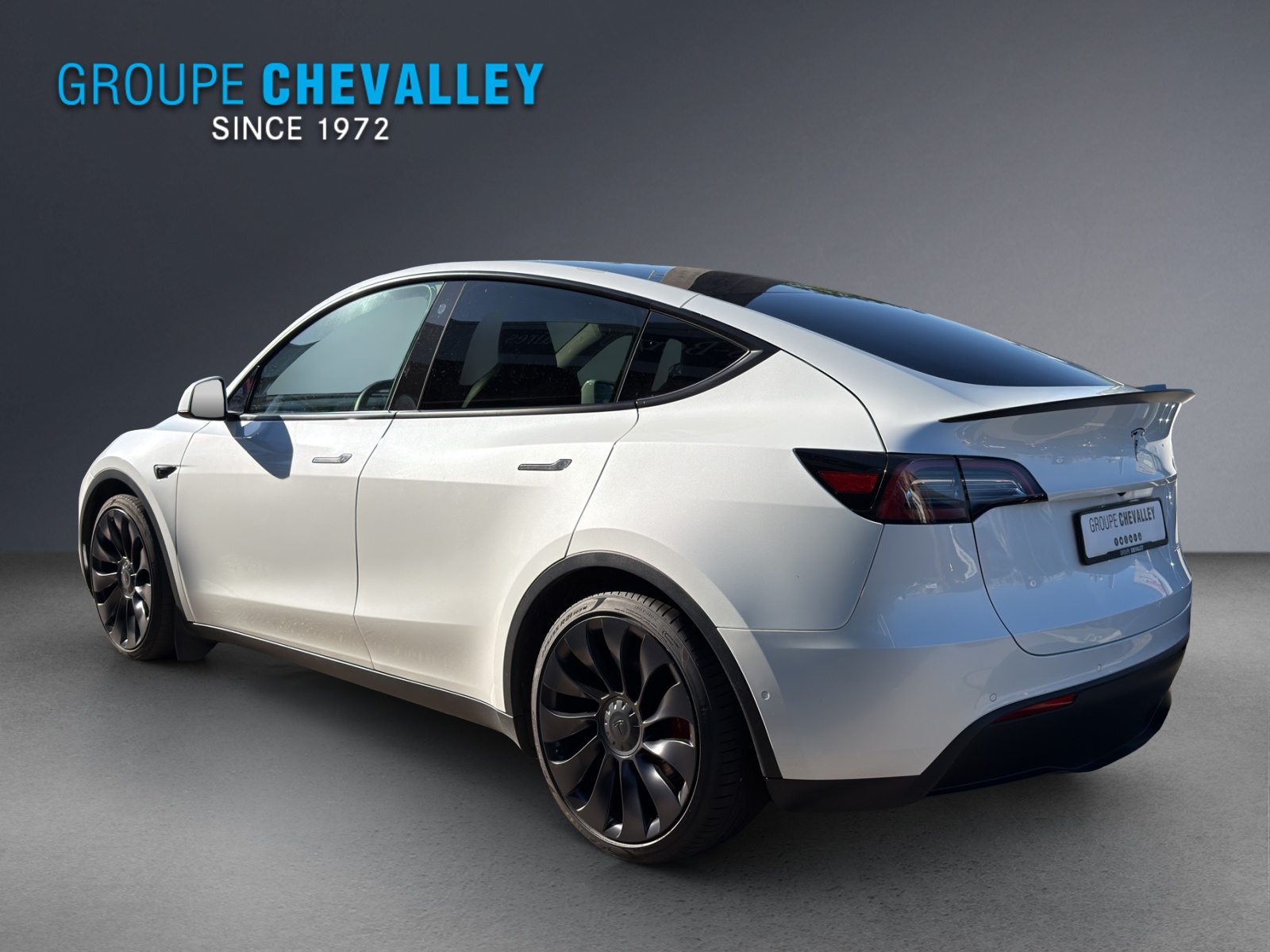 Image TESLA MODEL-Y Model Y Performance