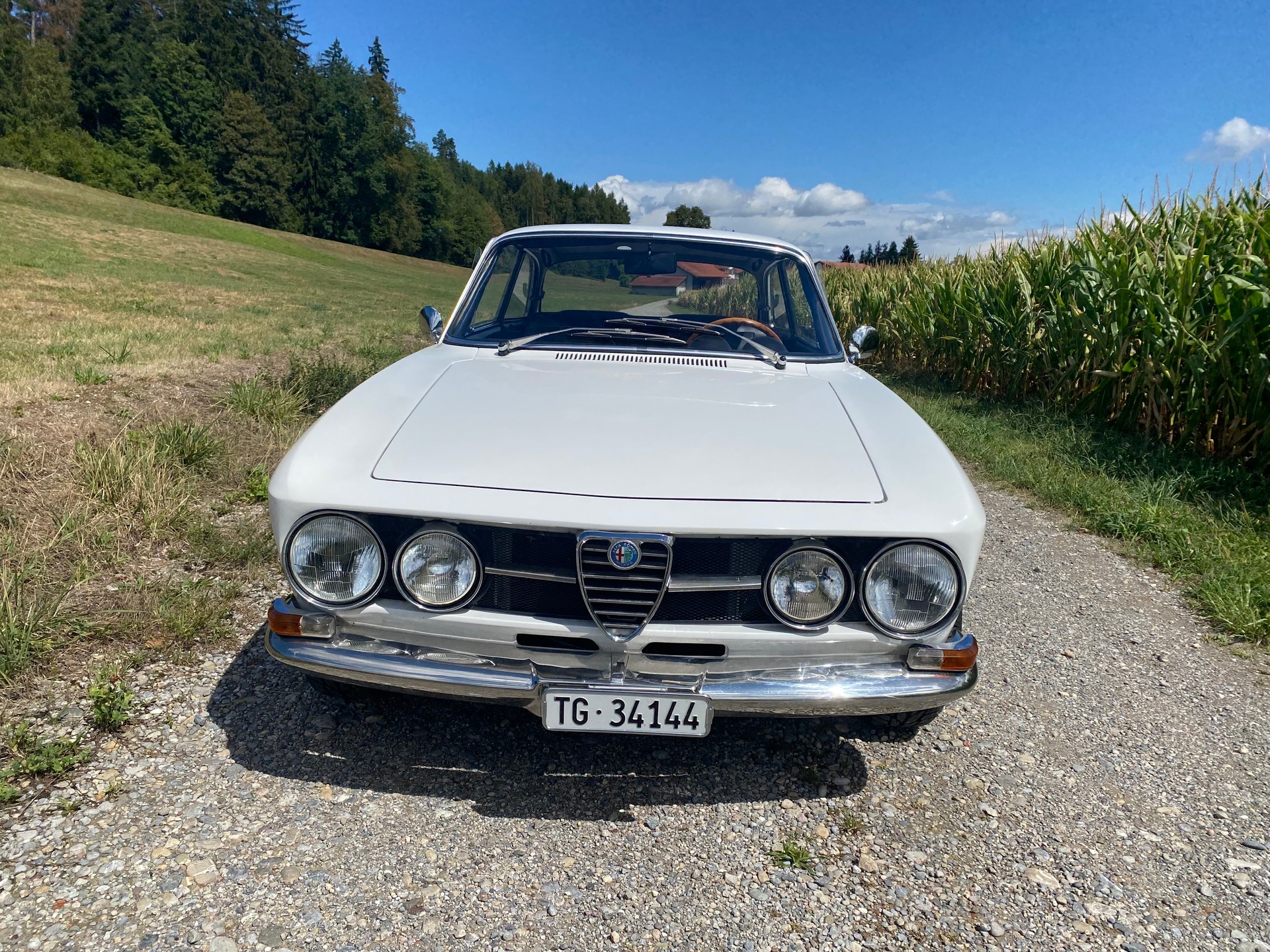 ALFA ROMEO 1750 GTV (VETERAN)-image-2