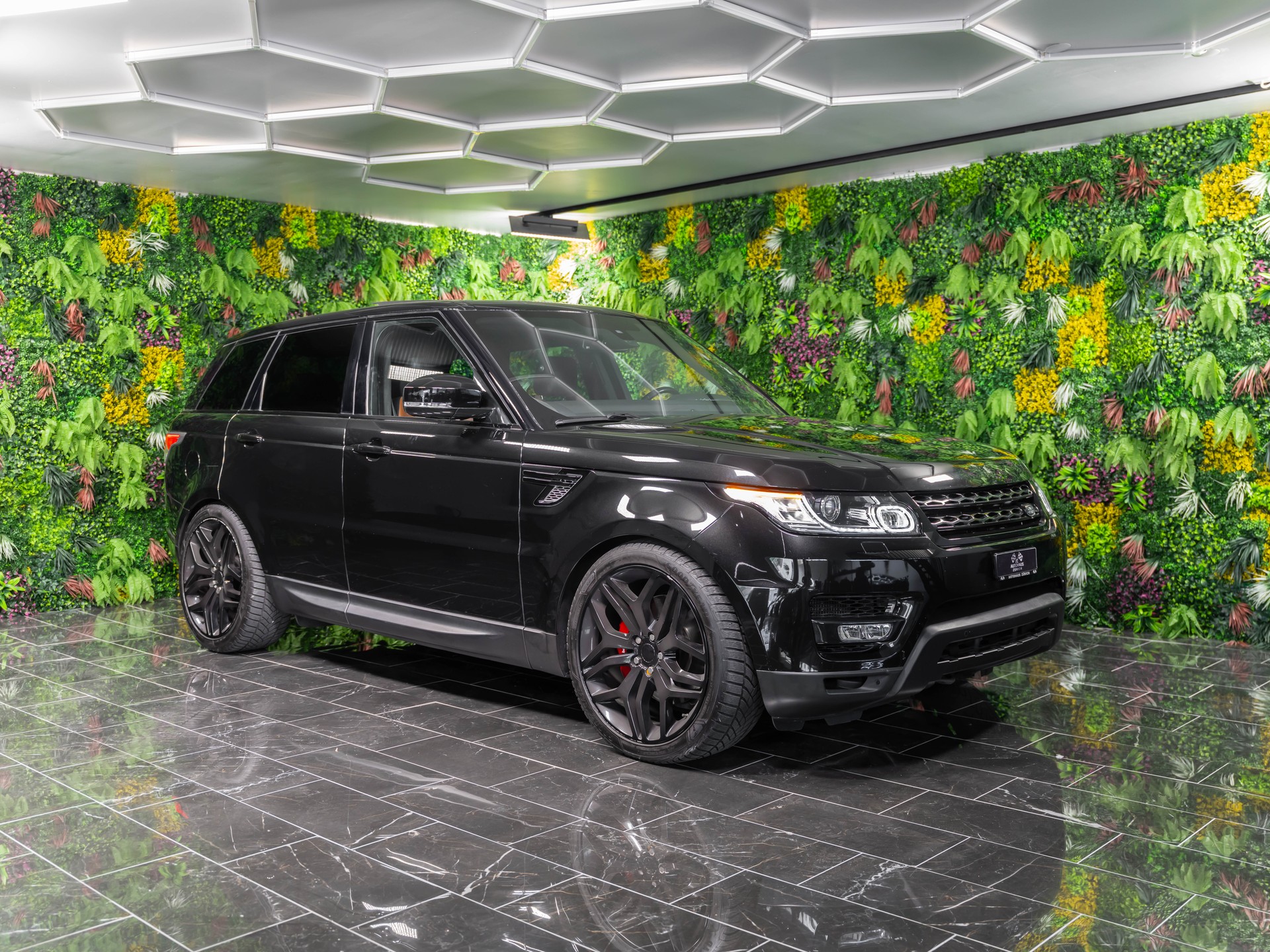 LAND ROVER Range Rover Sport 3.0 SDV6 Autobiography Automatic-image-0
