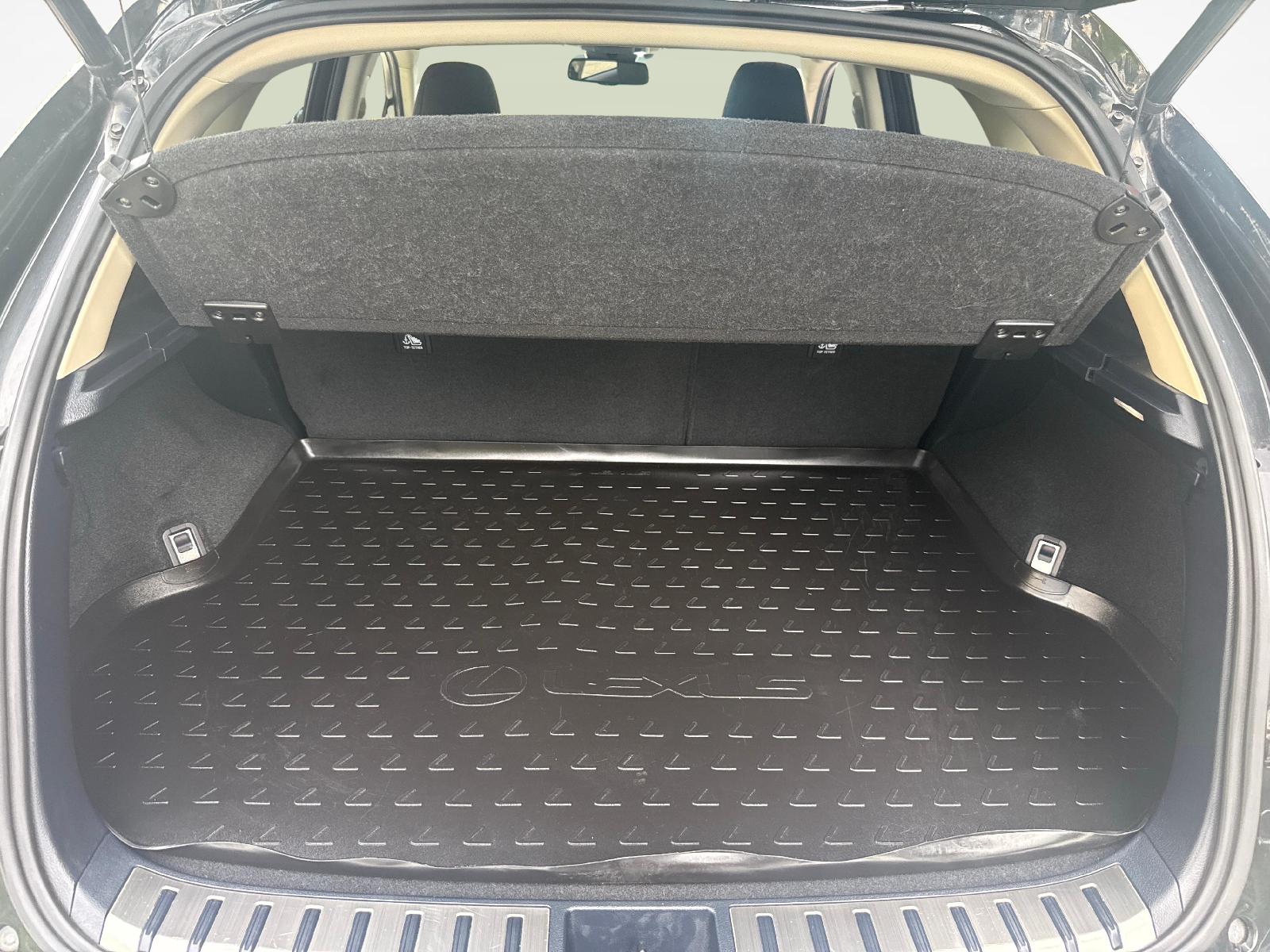LEXUS NX 300h Comfort-image-11