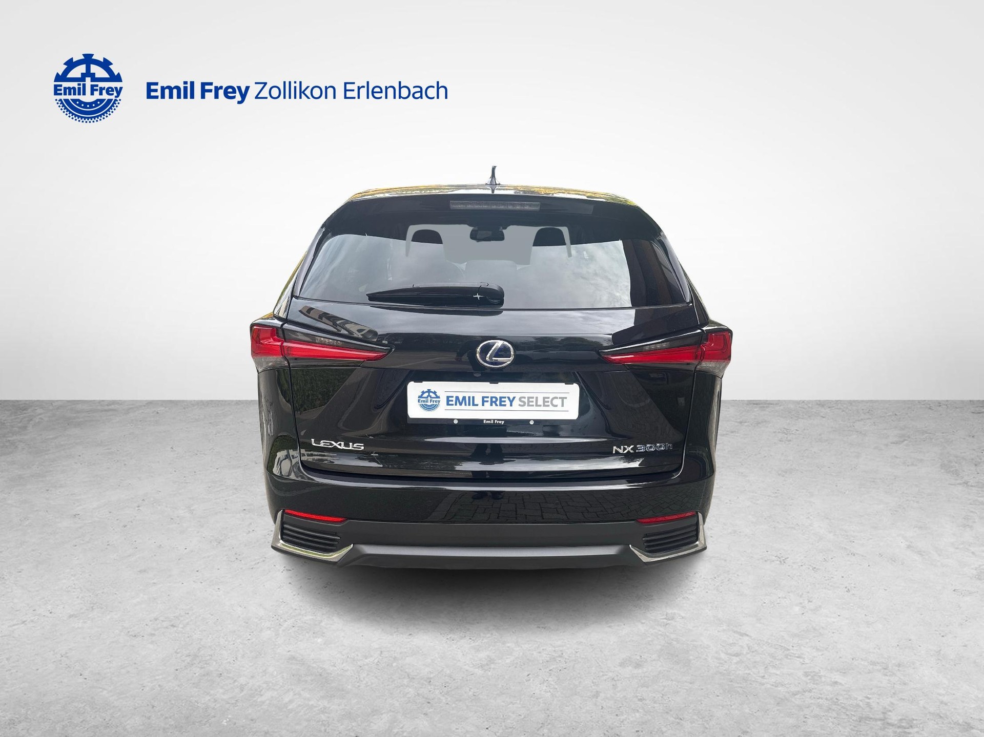 LEXUS NX 300h Comfort-image-3