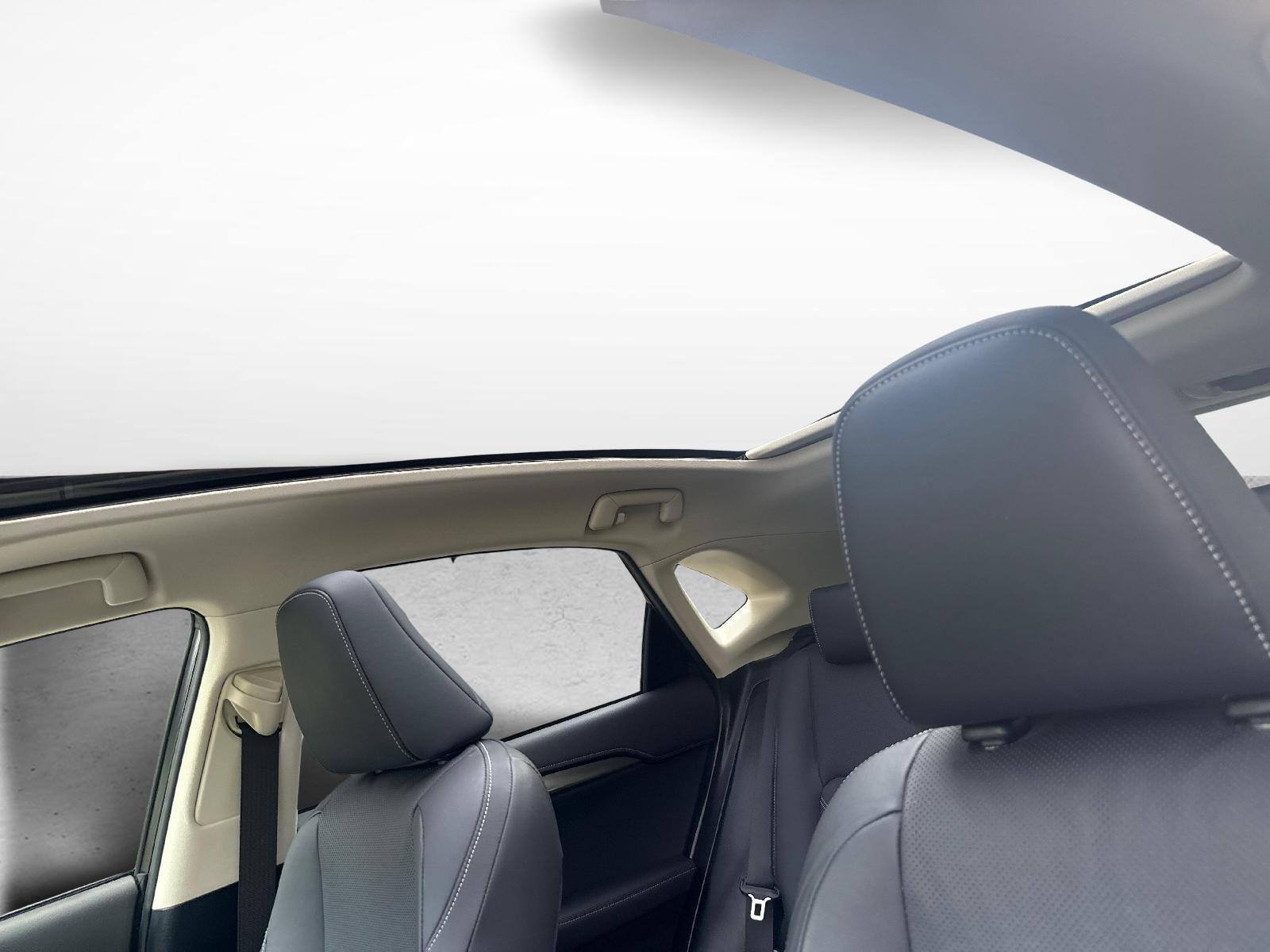 LEXUS NX 300h Comfort-image-13