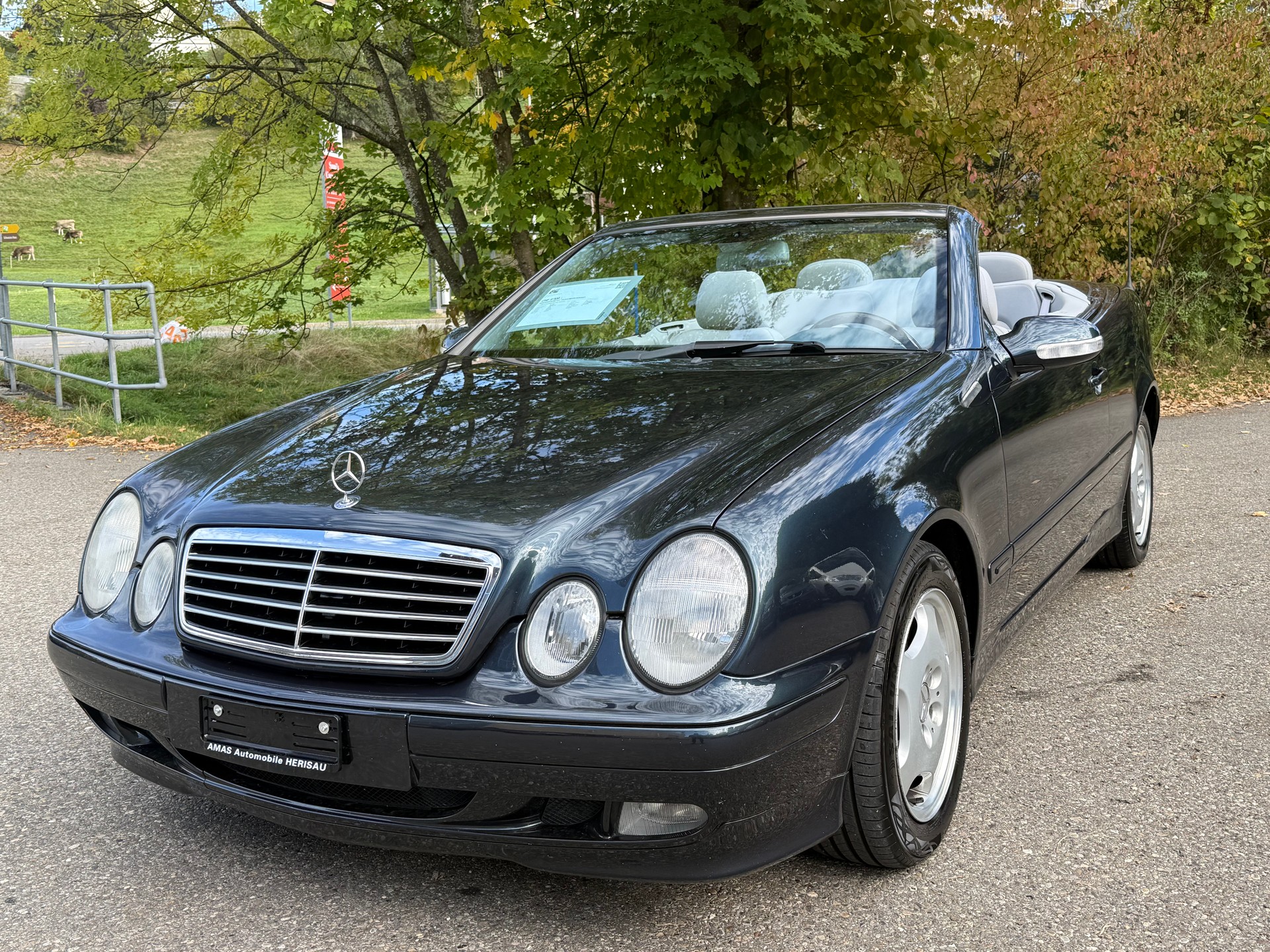 MERCEDES-BENZ CLK 320 Avantgarde Automatic-image-8