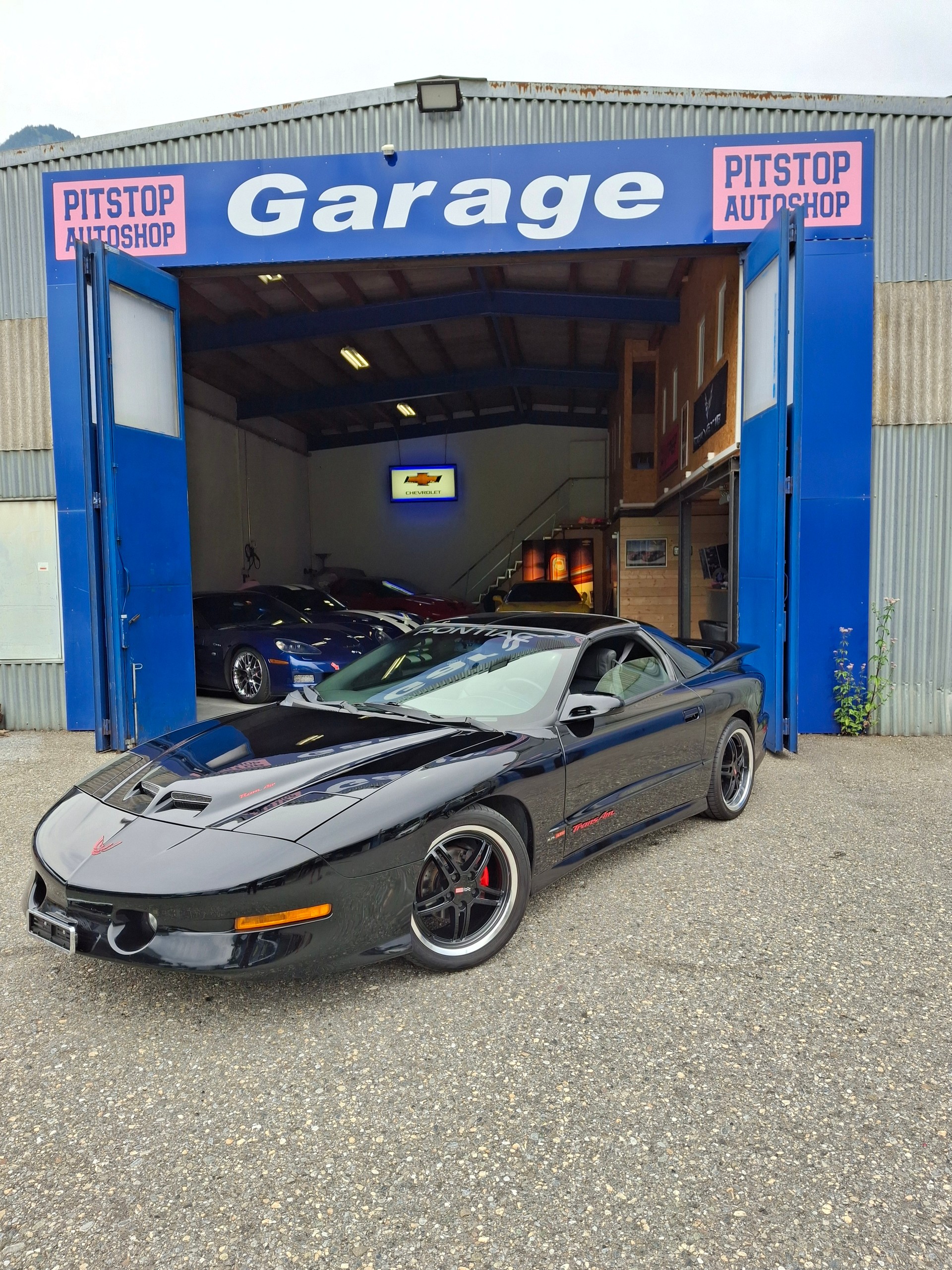 PONTIAC Firebird 5.7 V8 Trans Am-image-0