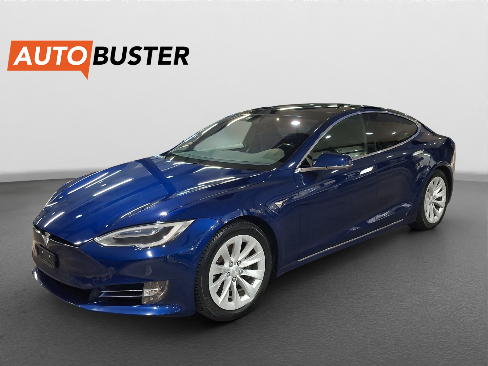 TESLA Model S 100 D-image-0