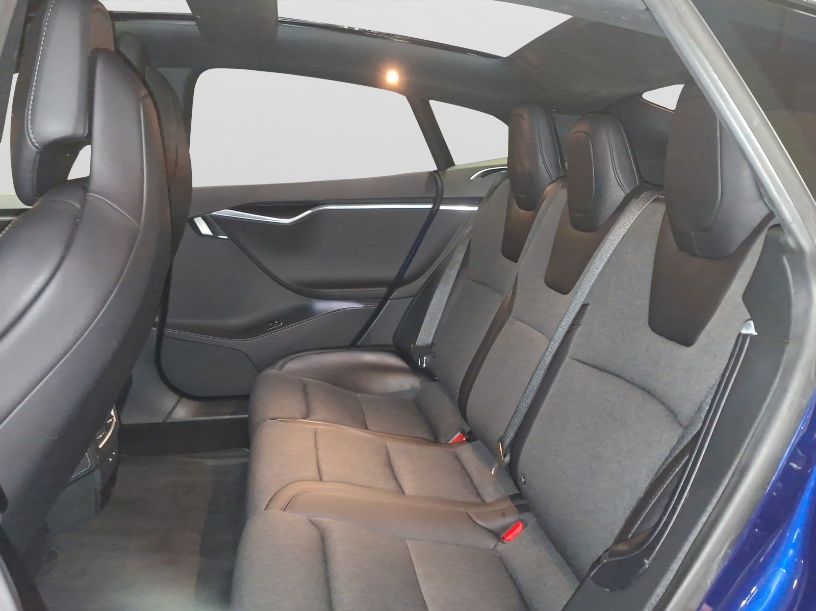 TESLA Model S 100 D-image-10