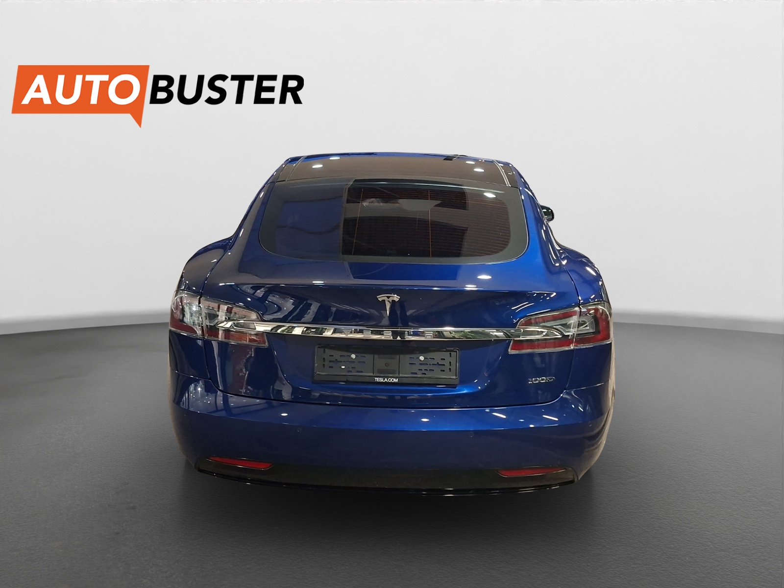 TESLA Model S 100 D-image-3