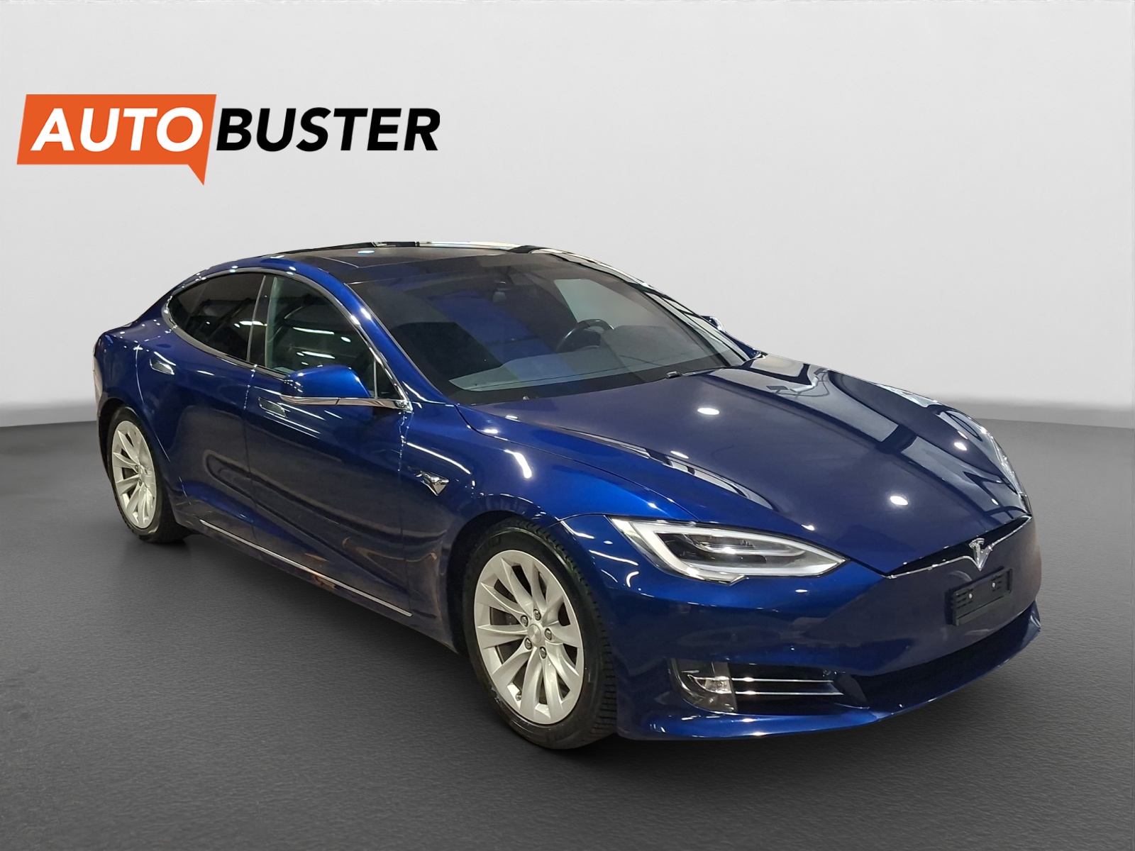 TESLA Model S 100 D-image-6