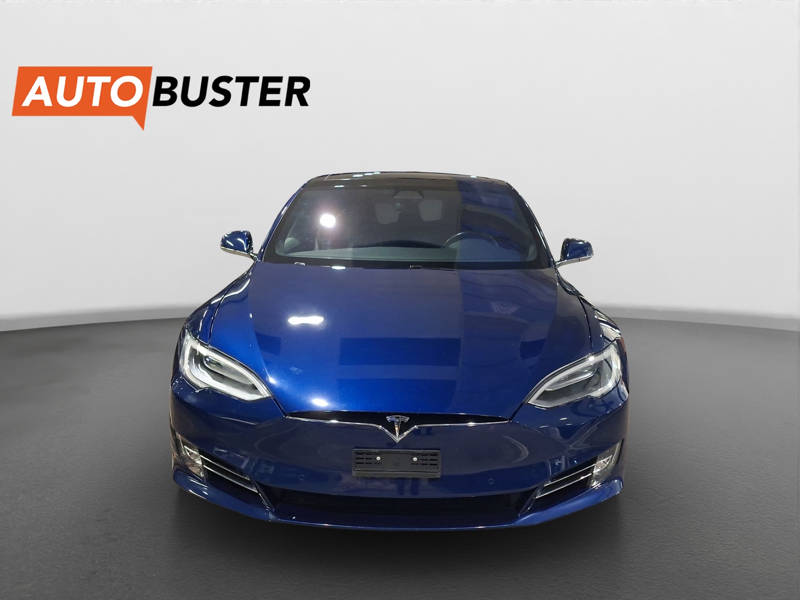 TESLA Model S 100 D-image-7
