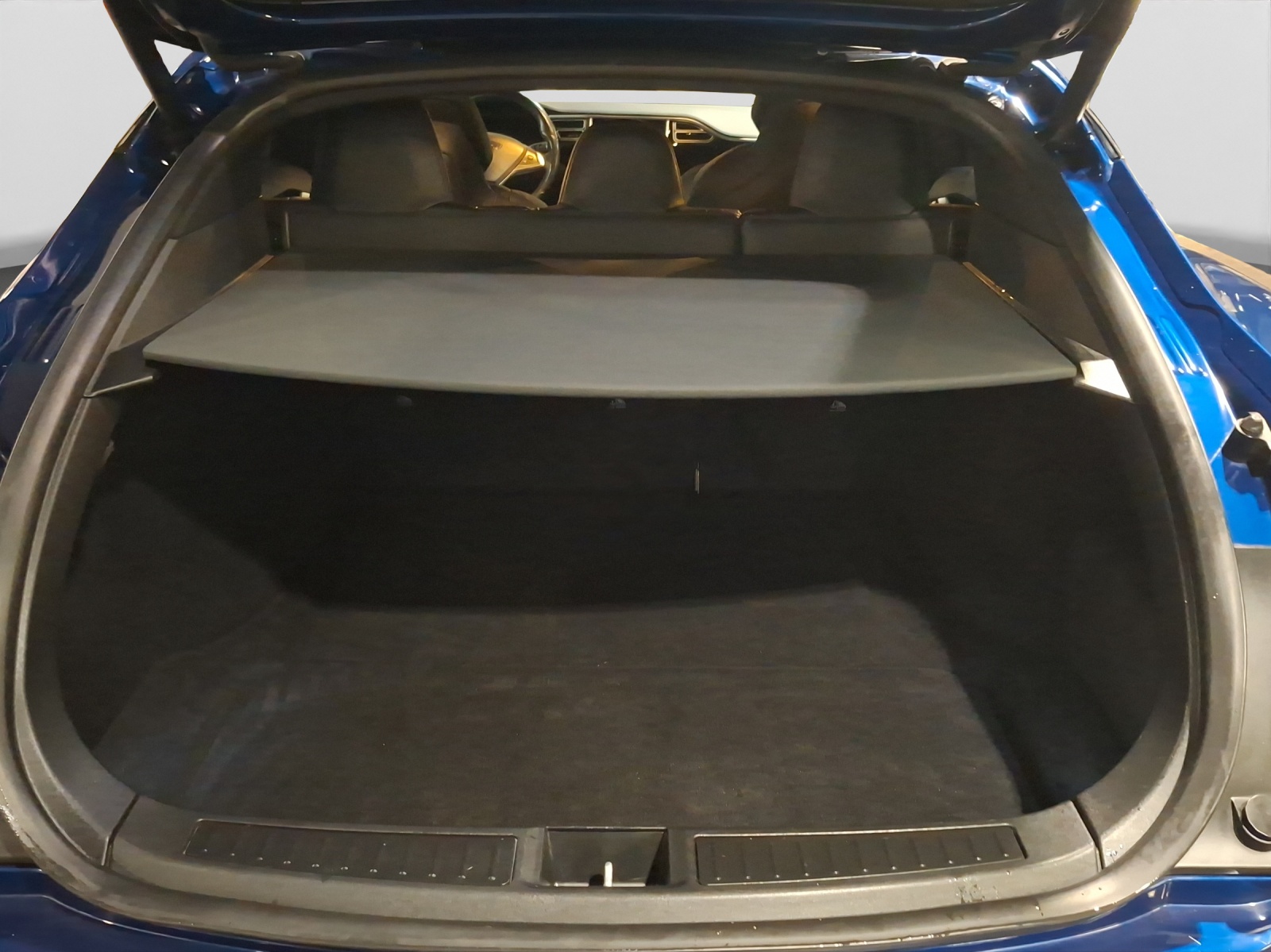 TESLA Model S 100 D-image-13