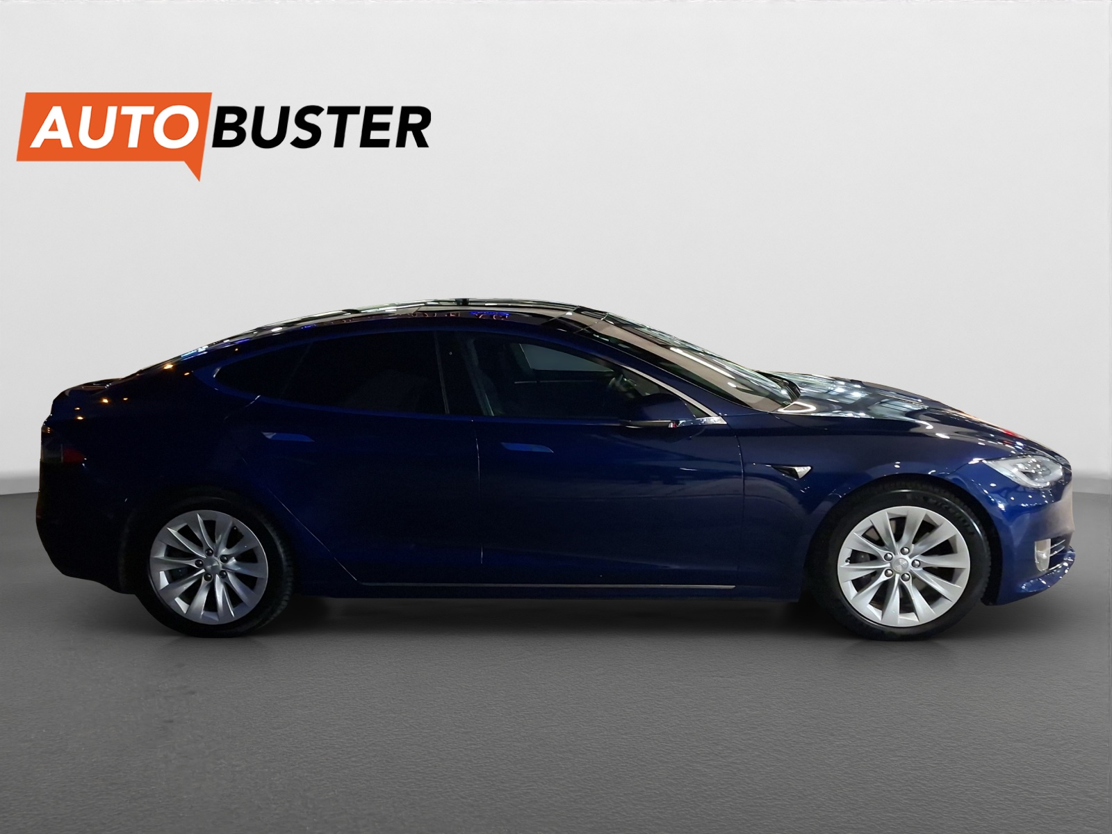 TESLA Model S 100 D-image-5
