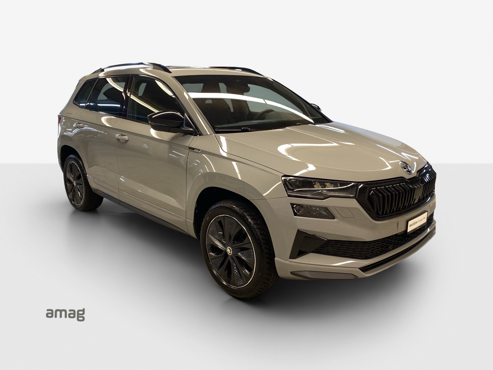 SKODA Karoq SL 1.5 TSI 150PS 7DSG-image-6