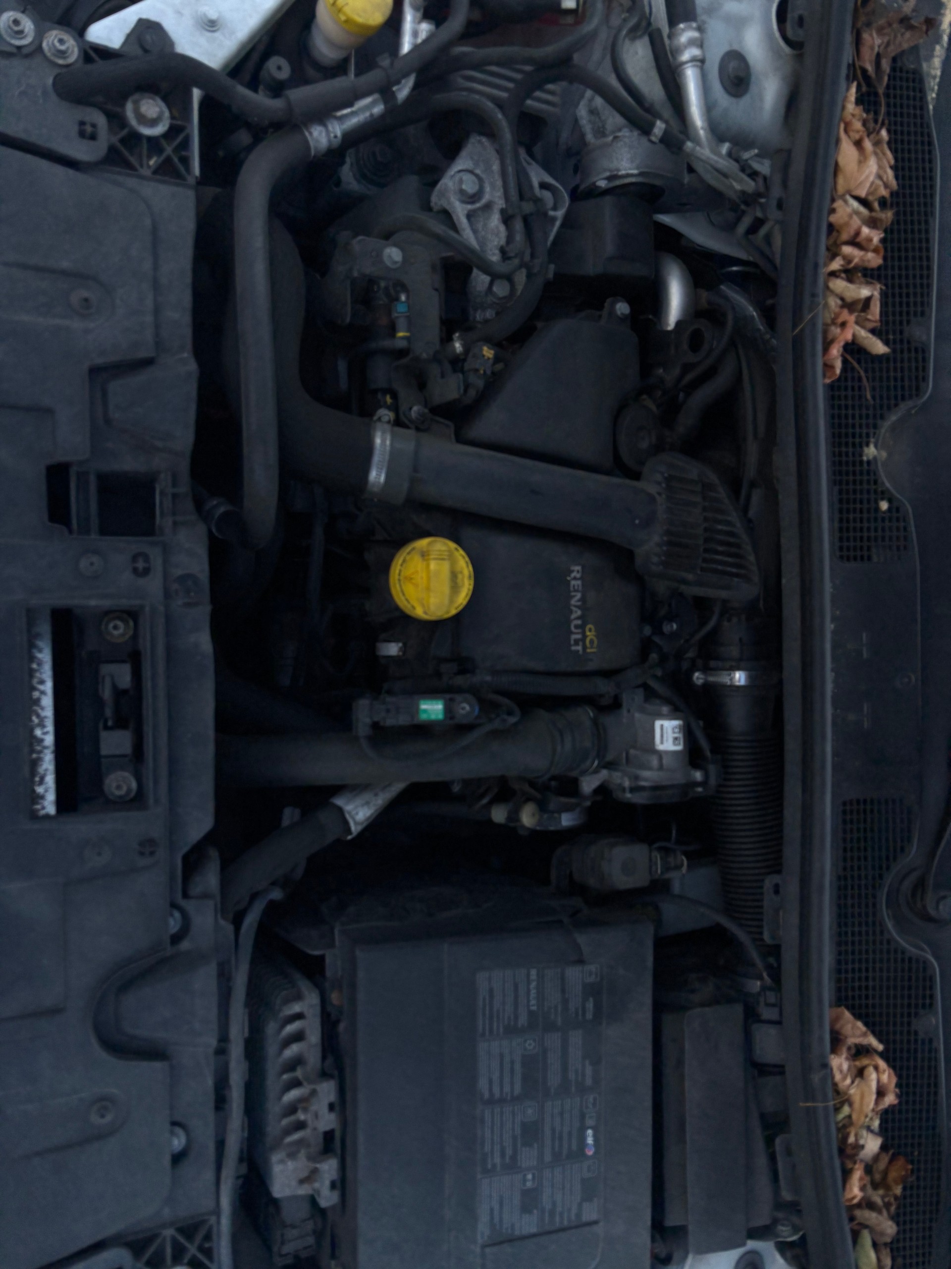 RENAULT Mégane Grandtour 1.5 dCi Dynamique EDC-image-15