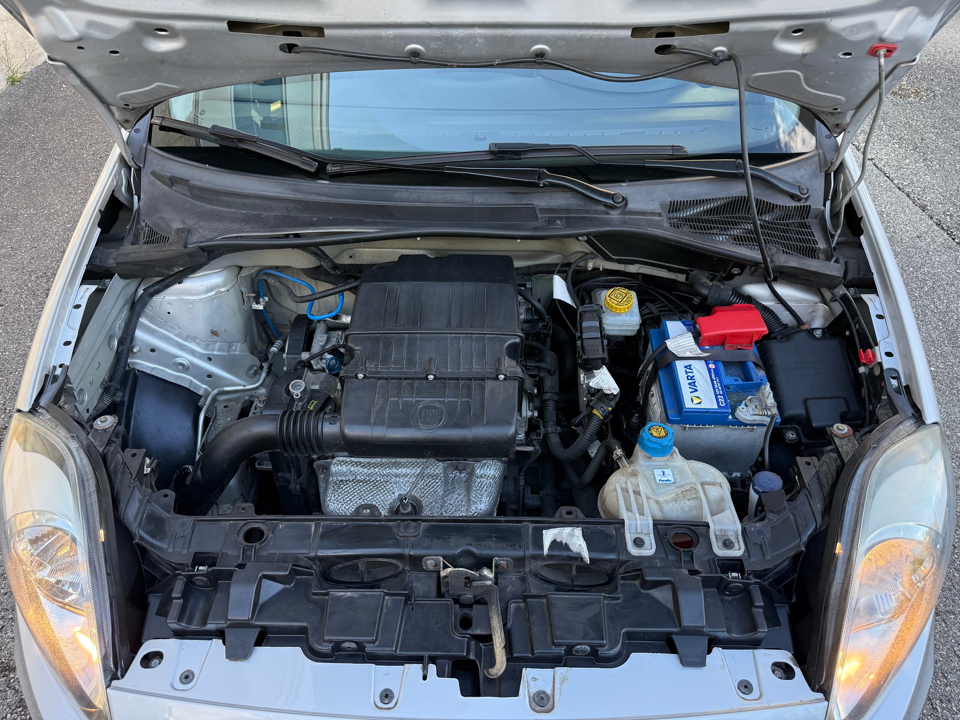FIAT Punto 1.2 Cool || Frisch ab MFK-image-7