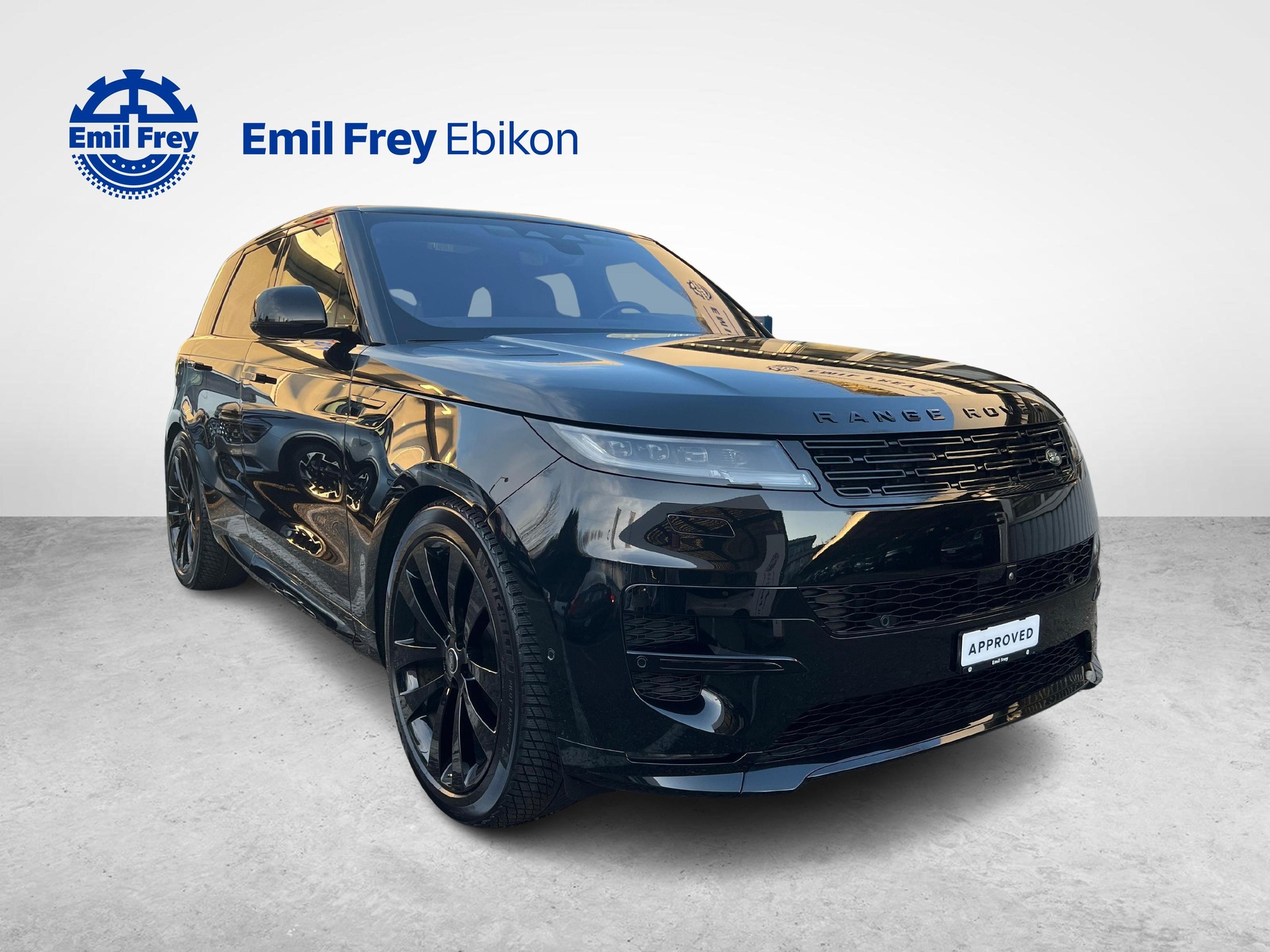 LAND ROVER Range Rover Sport 3.0 TD6 350 First Edition-image-6