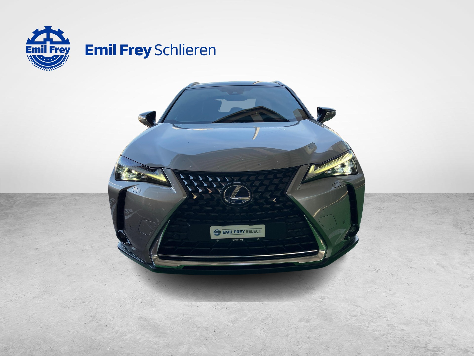 LEXUS UX 300e Excellence-image-9