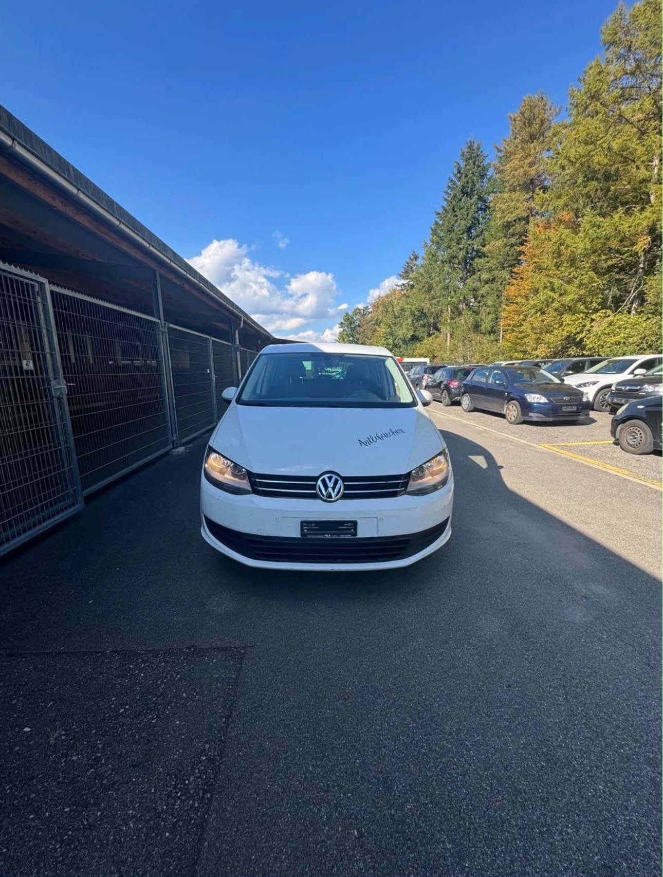 Car photo