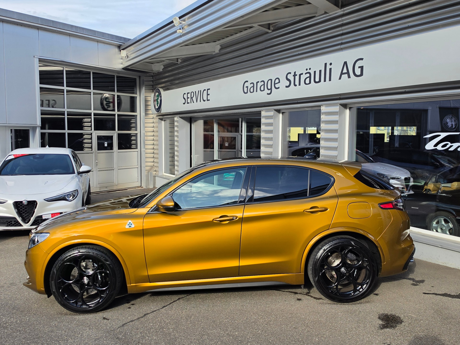 ALFA ROMEO Stelvio 2.9 V6 Quadrifoglio Sky 21 Zoll Q4-showroom-element-3