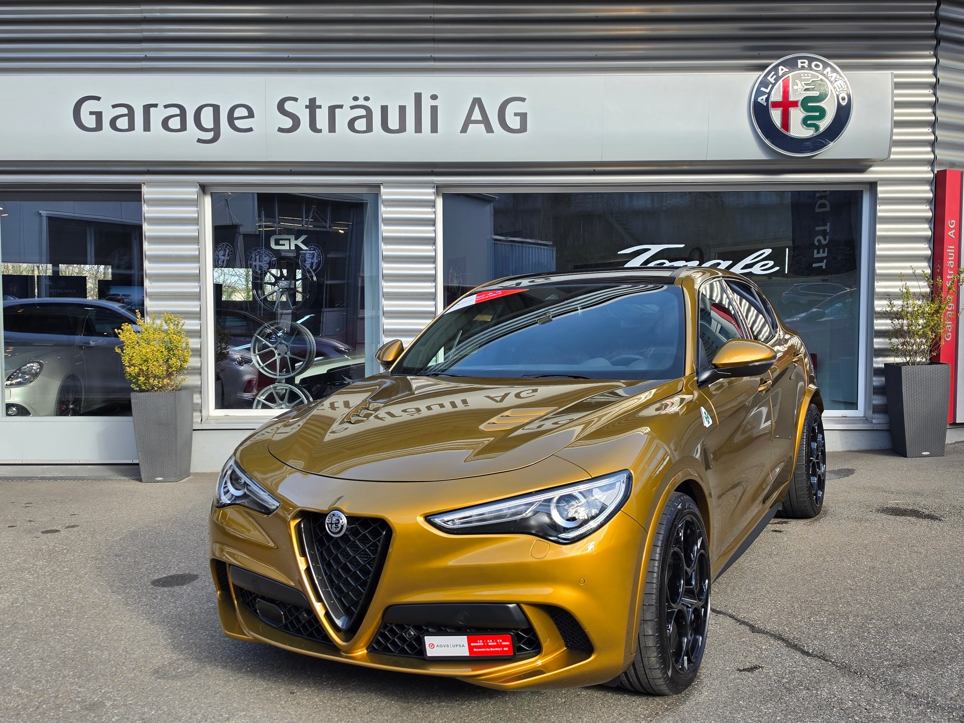 ALFA ROMEO Stelvio 2.9 V6 Quadrifoglio Sky 21 Zoll Q4-showroom-element-1