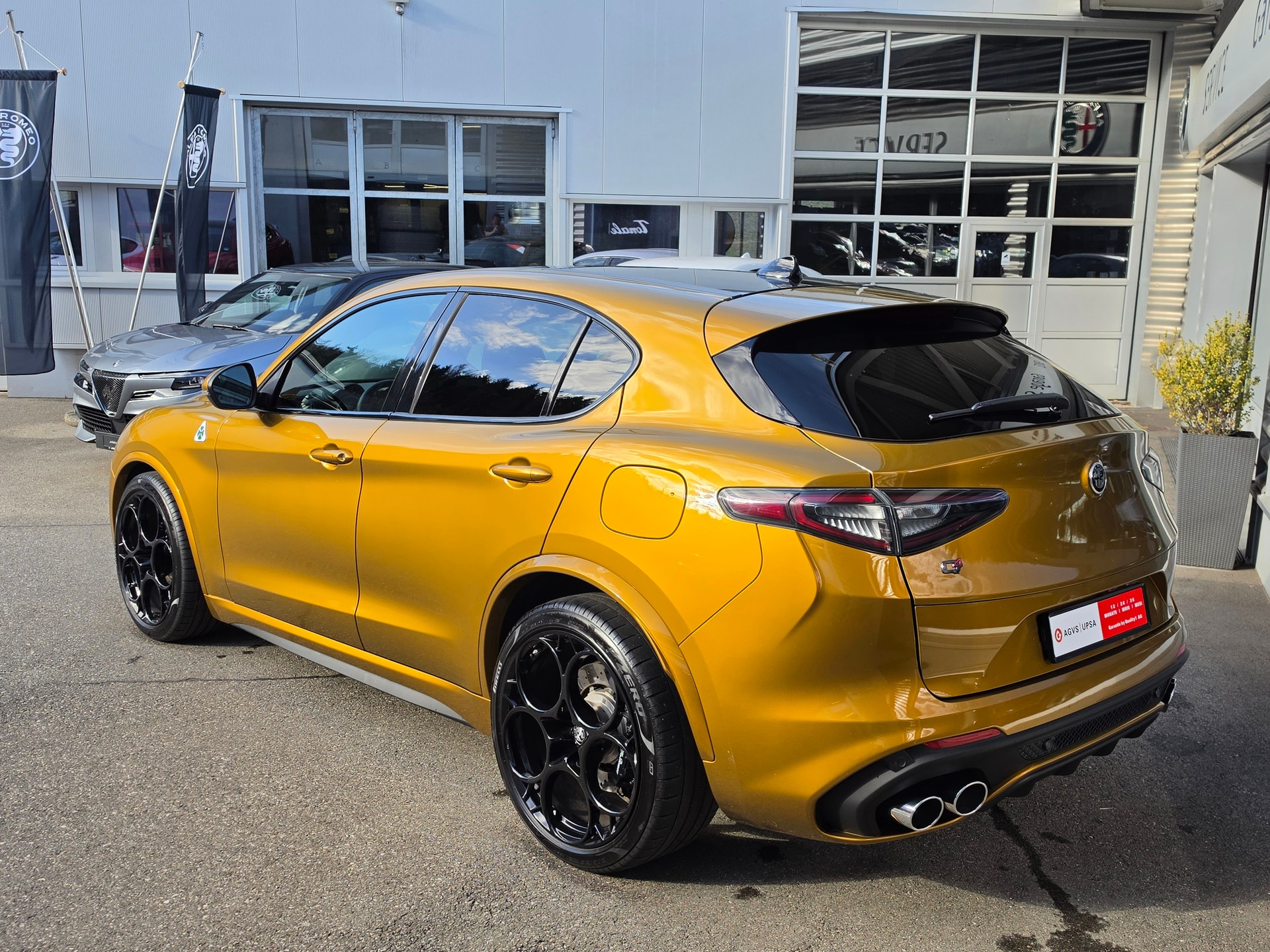 ALFA ROMEO Stelvio 2.9 V6 Quadrifoglio Sky 21 Zoll Q4-showroom-element-2