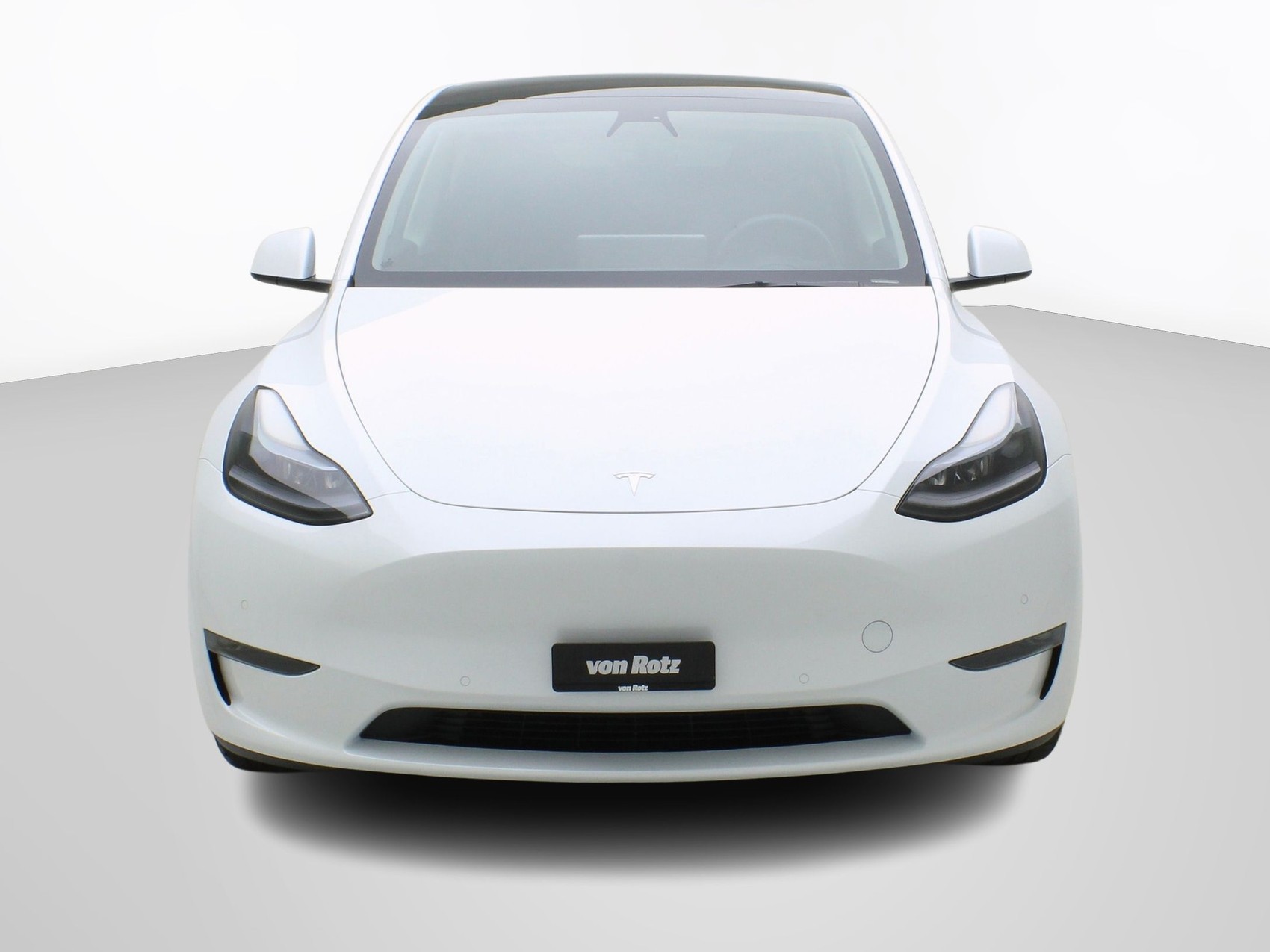 TESLA Model Y Long Range Dual AWD-image-6