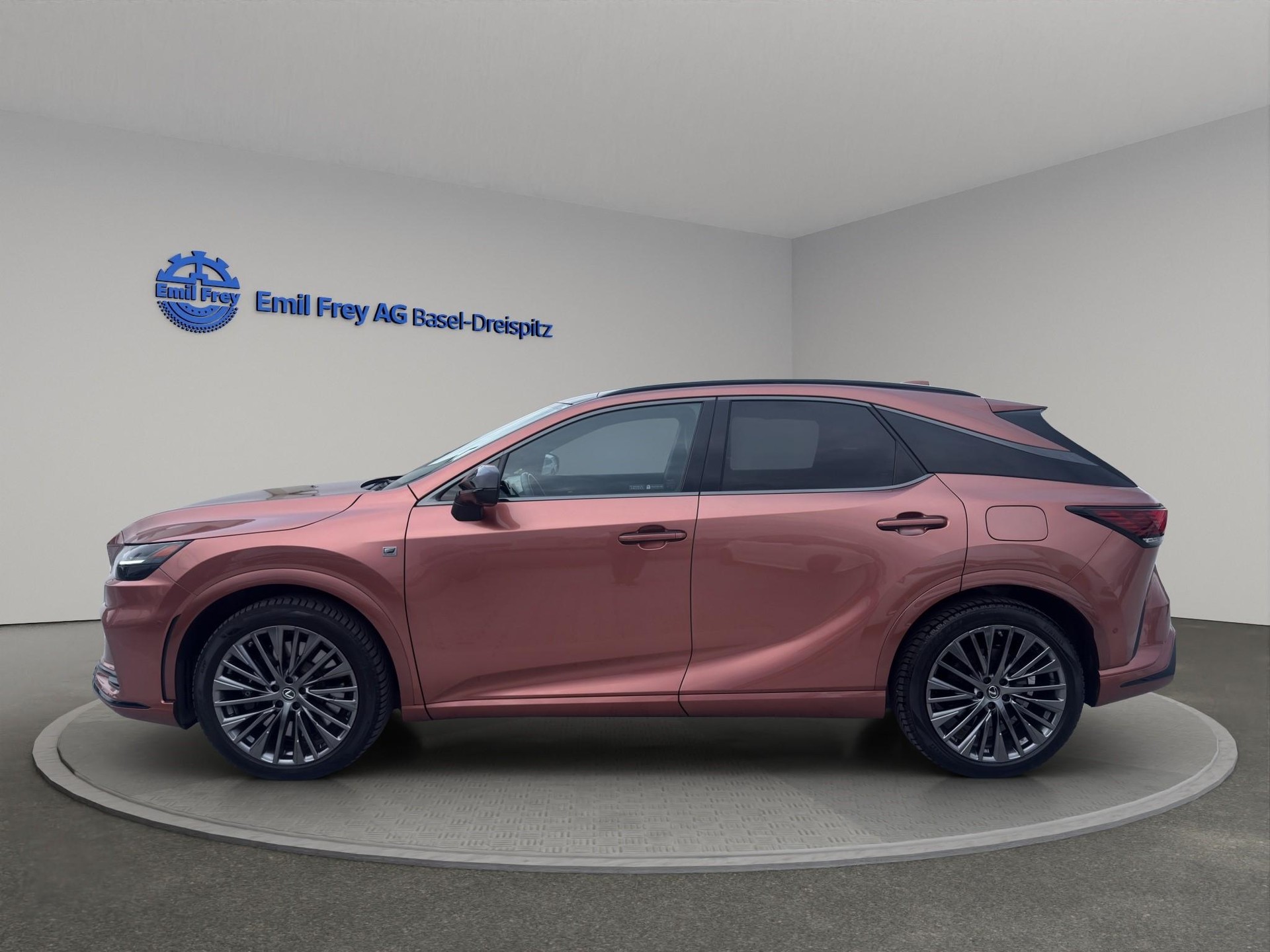 LEXUS RX 500h F-Sport-showroom-element-2