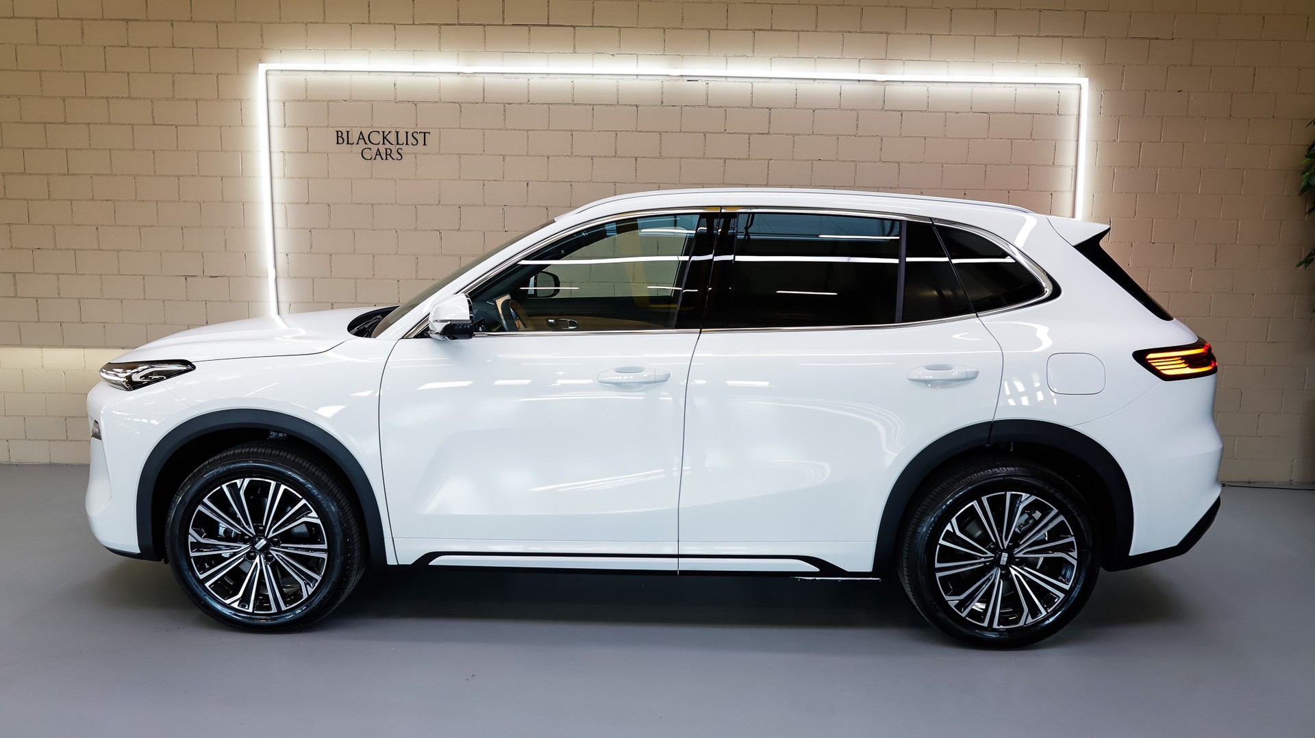 GEELY Starray EM-i MAX + PHEV *ALPIN WHITE*-image-2