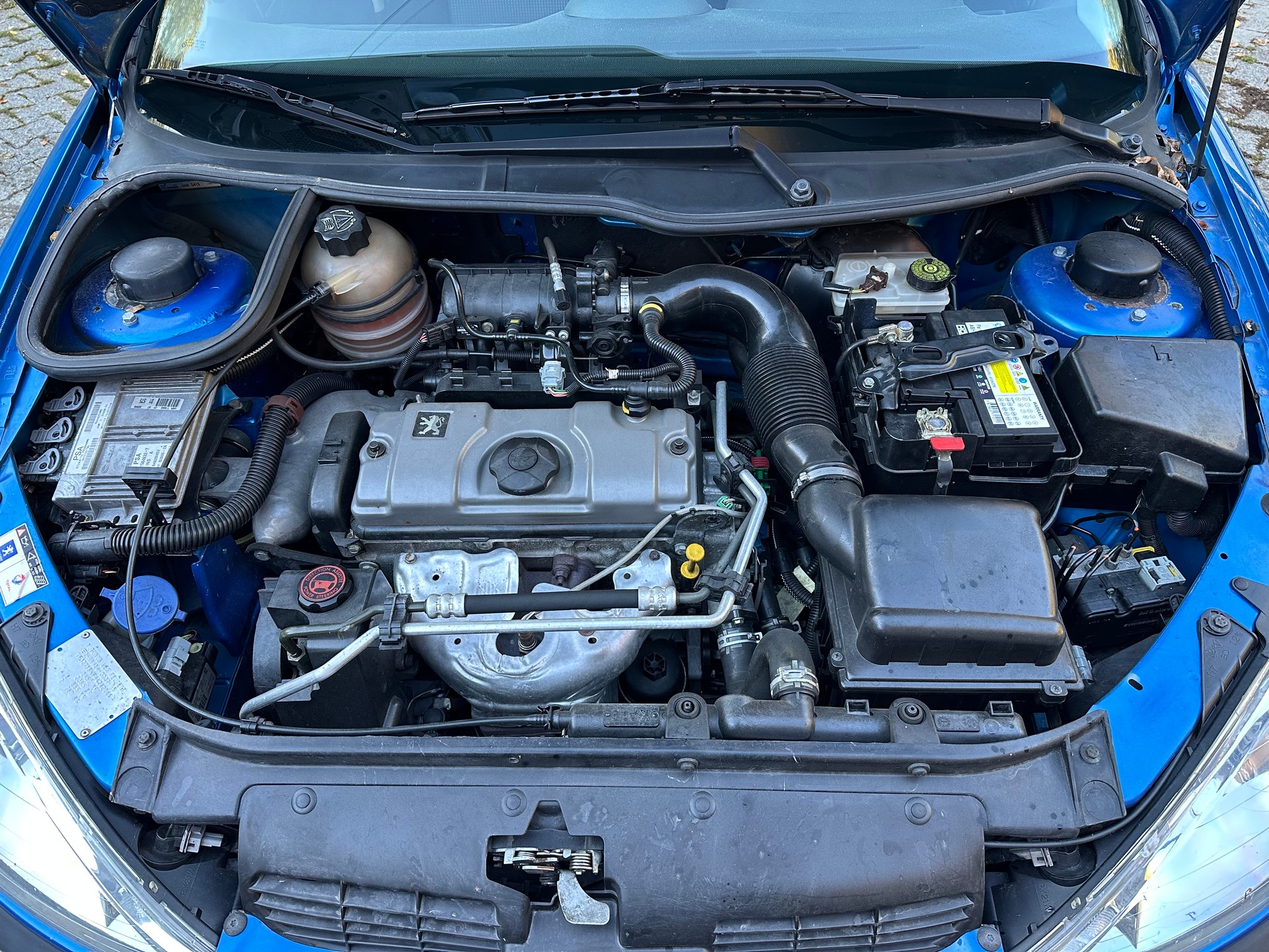 PEUGEOT 206 1.4 Look FIXPREIS-image-14