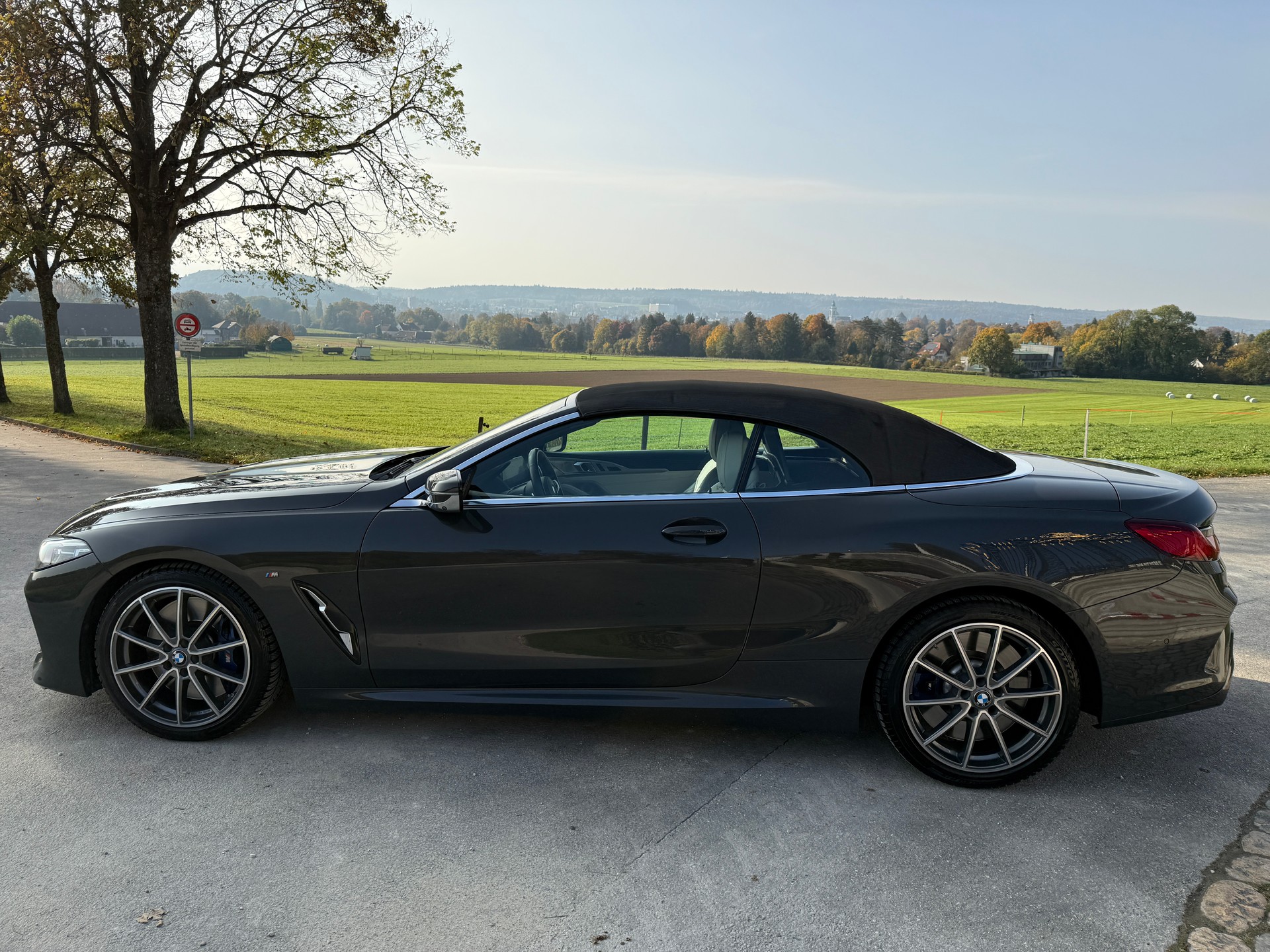 BMW M850i xDrive Steptronic-image-31